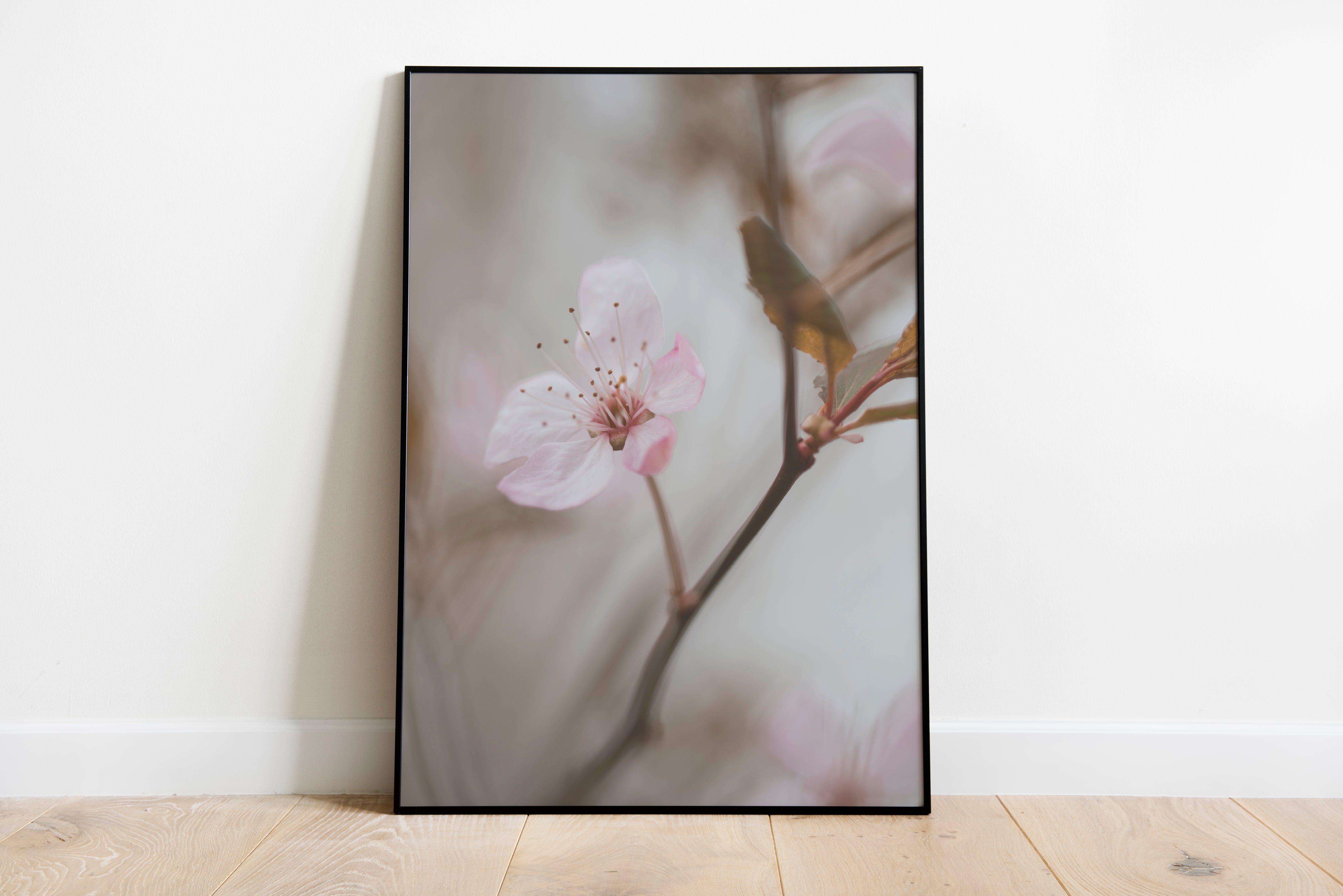 Blossom - Print Store | Ocoee House