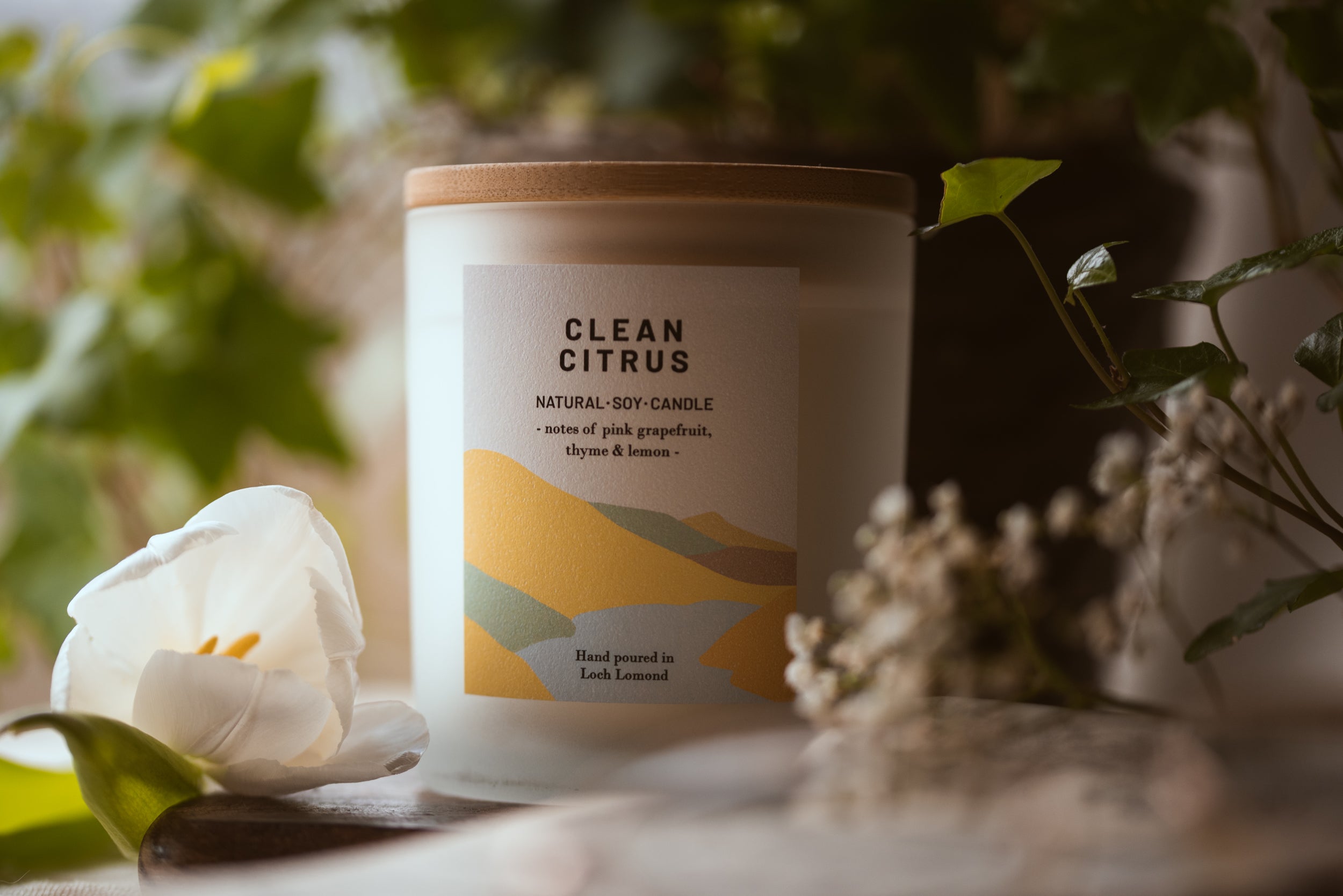 Clean Citrus - 450g - Organic & Vegan Scented Candles | Ocoee House