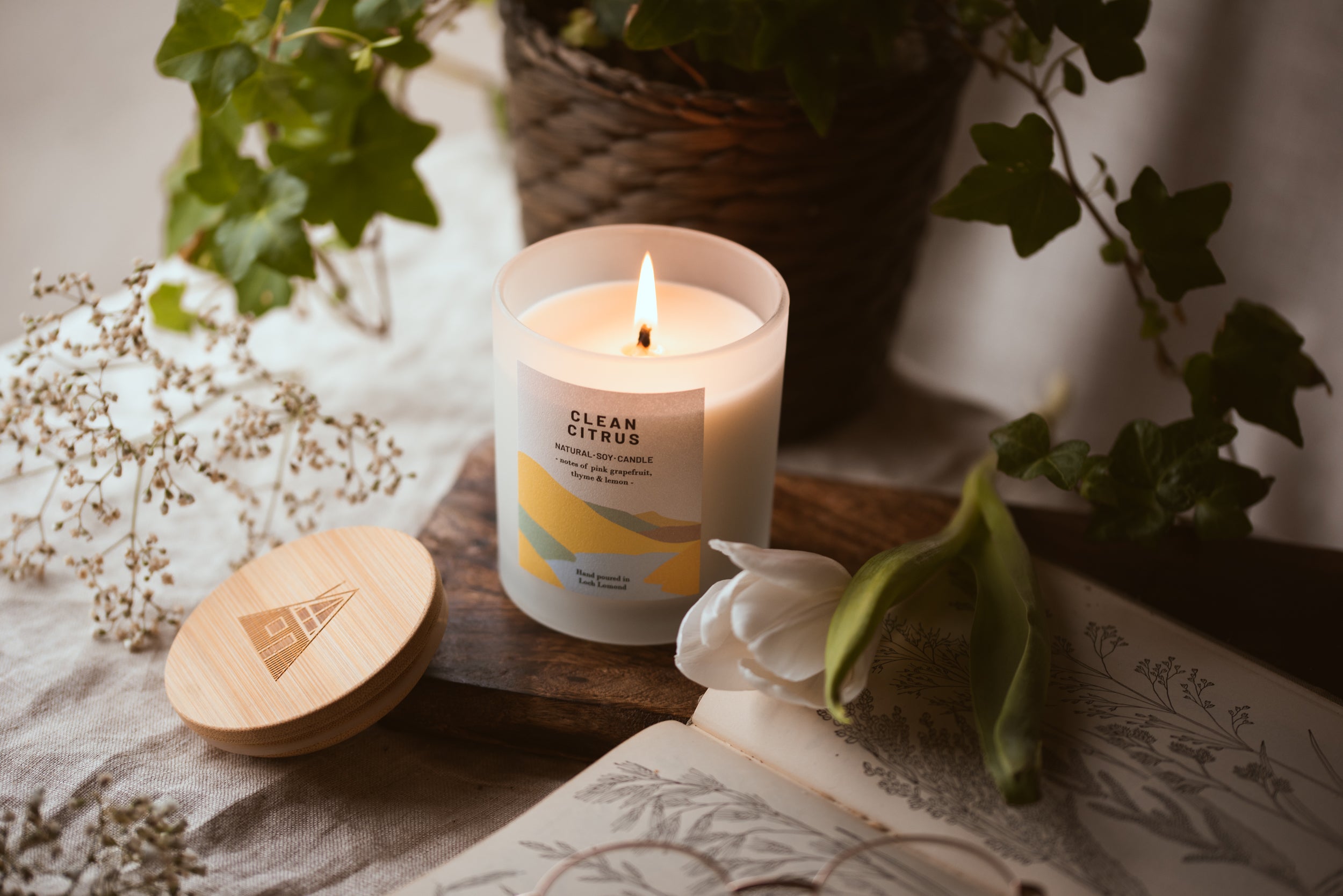 Clean Citrus - 450g - Organic & Vegan Scented Candles | Ocoee House