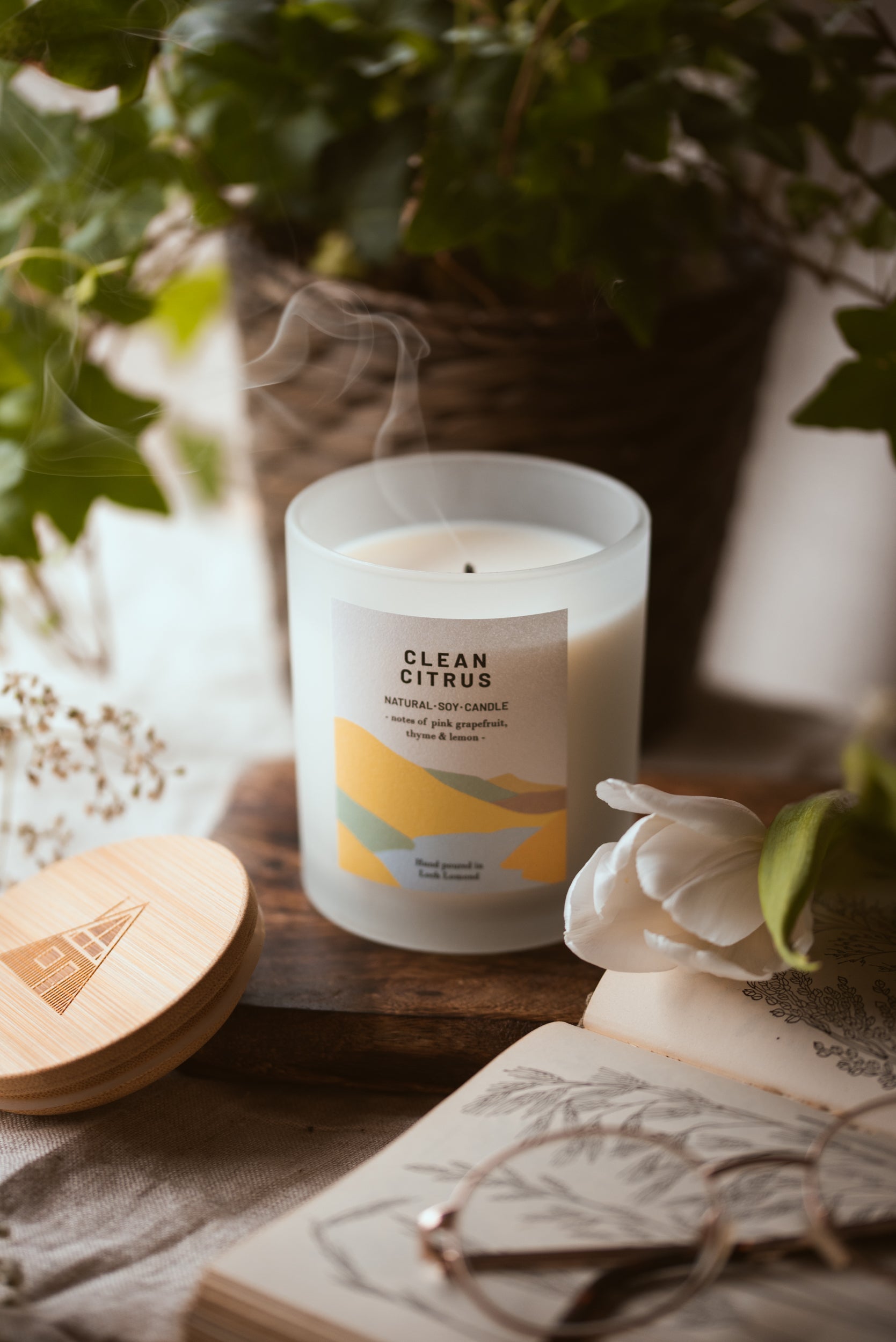Clean Citrus - 450g - Organic & Vegan Scented Candles | Ocoee House
