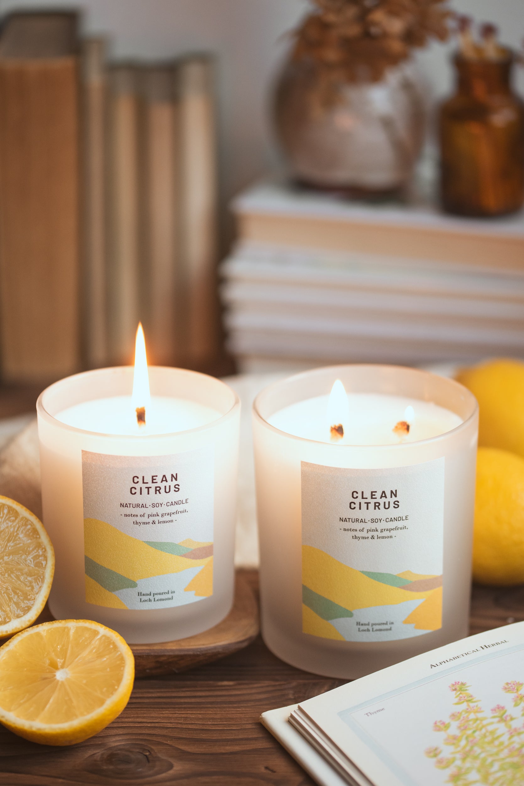 Clean Citrus - 760g - Organic & Vegan Scented Candles | Ocoee House
