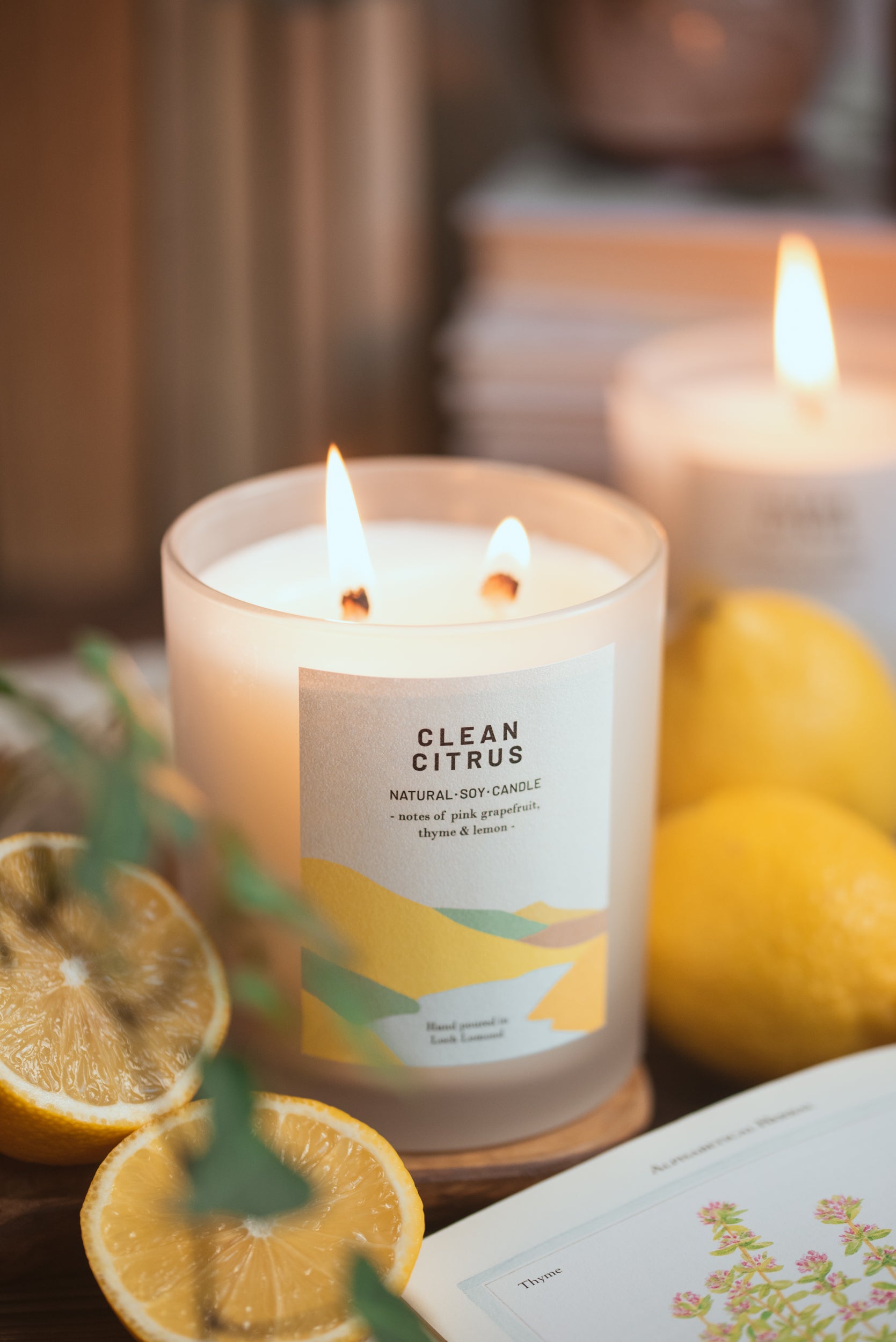 Clean Citrus - 760g - Organic & Vegan Scented Candles | Ocoee House