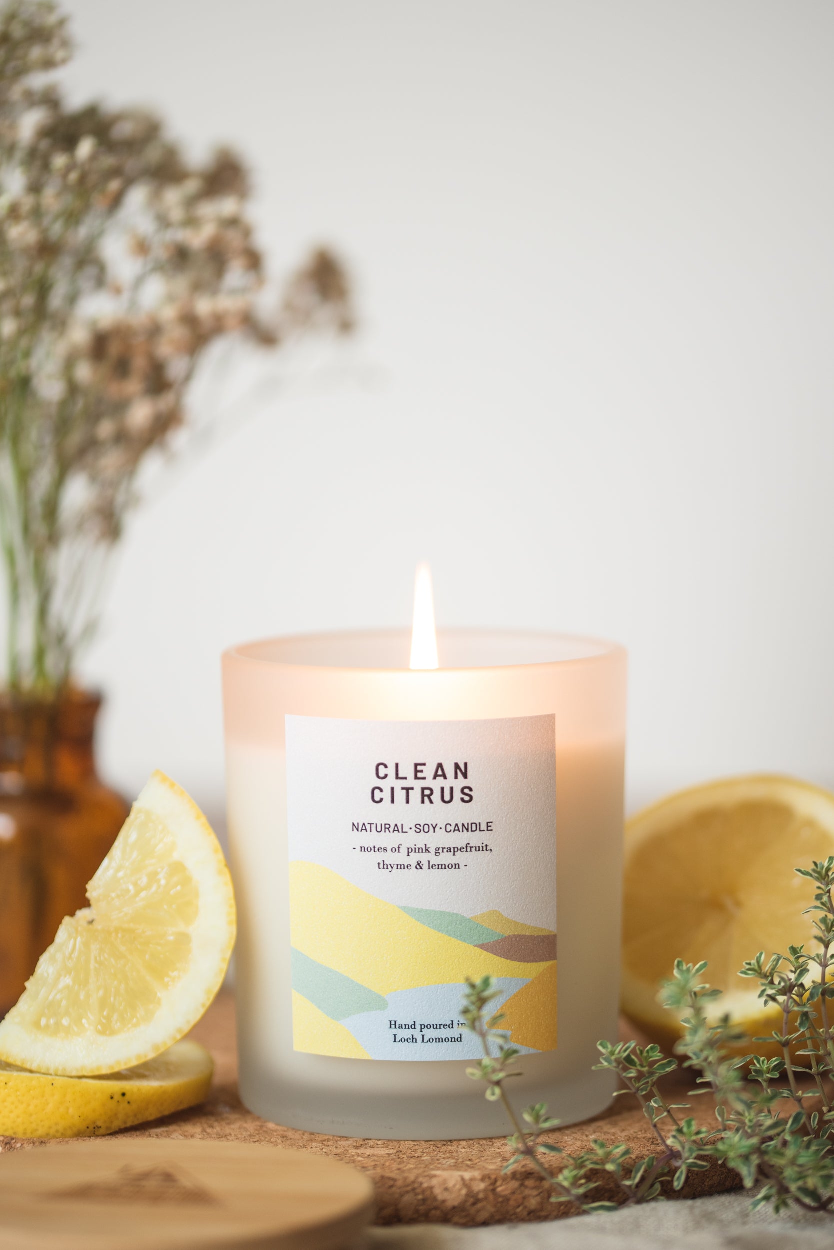 Clean Citrus - 450g - Organic & Vegan Scented Candles | Ocoee House