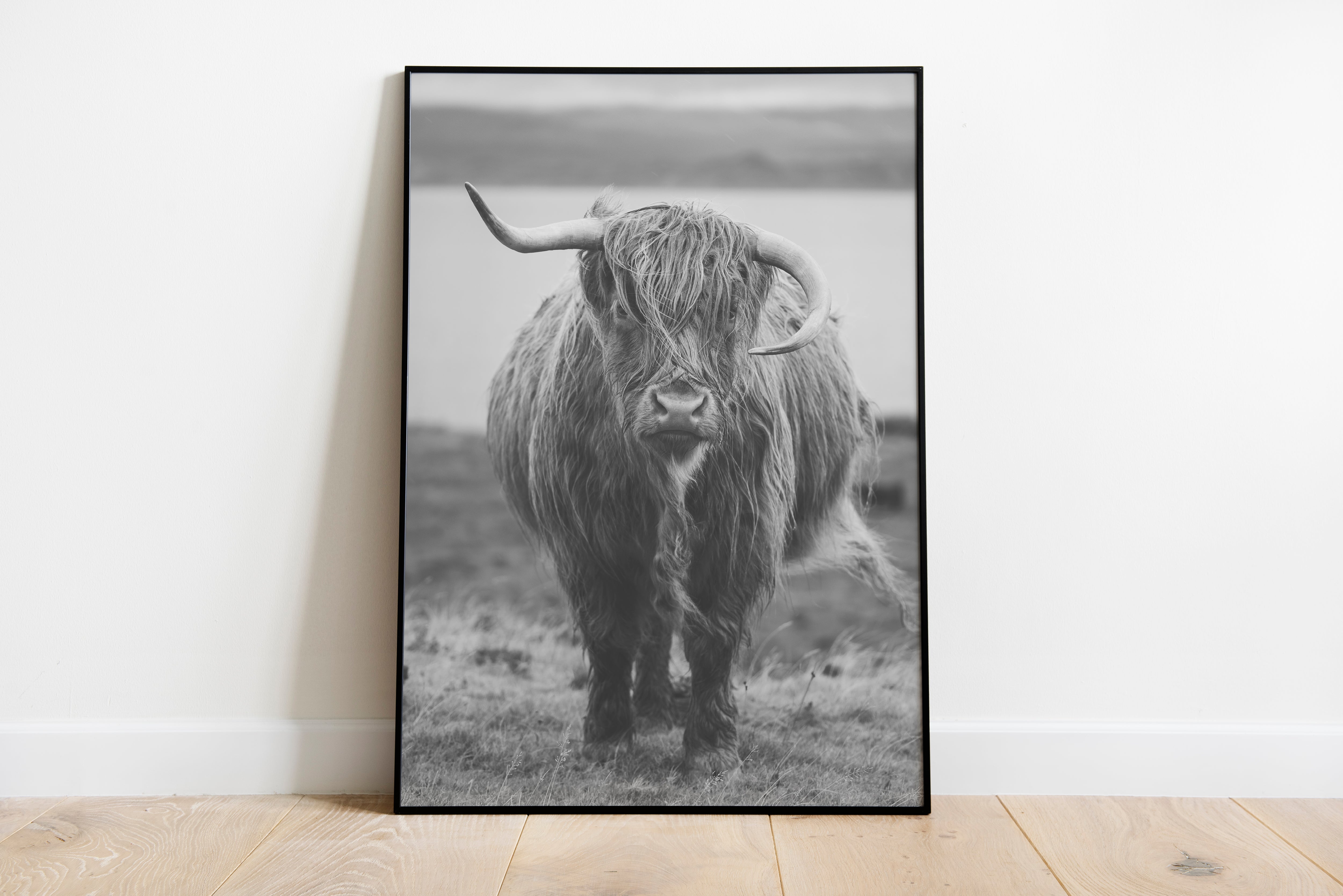 Highland Cow - Print Store | Ocoee House