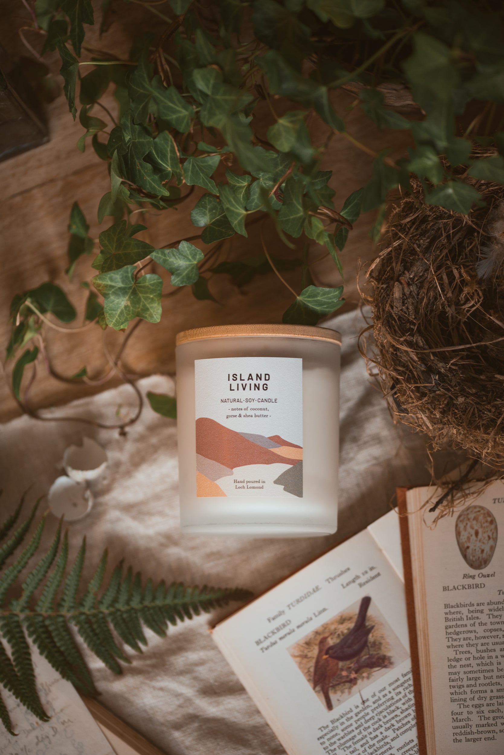 Island Living - 450g - Organic & Vegan Scented Candles | Ocoee House