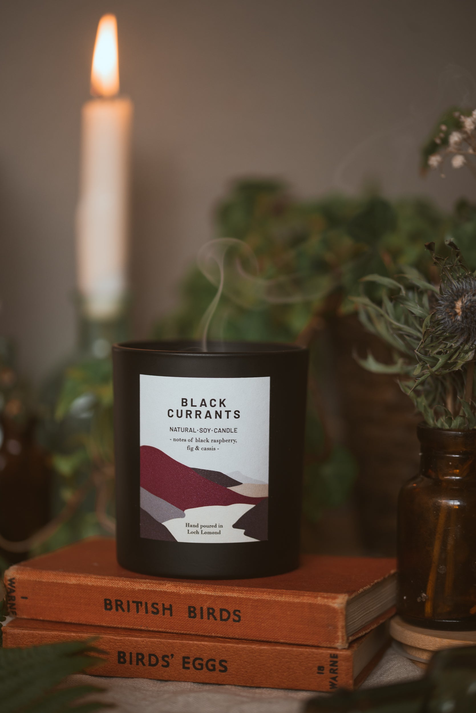 Black Currants - 450g - Organic & Vegan Scented Candles | Ocoee House
