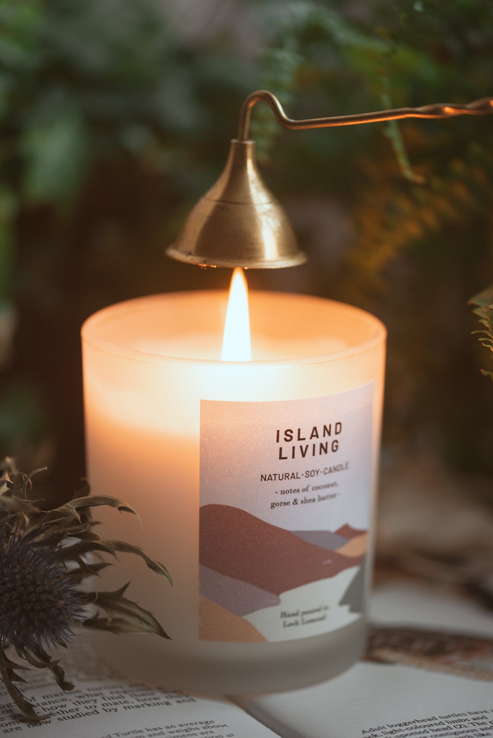 Island Living - 450g - Organic & Vegan Scented Candles | Ocoee House