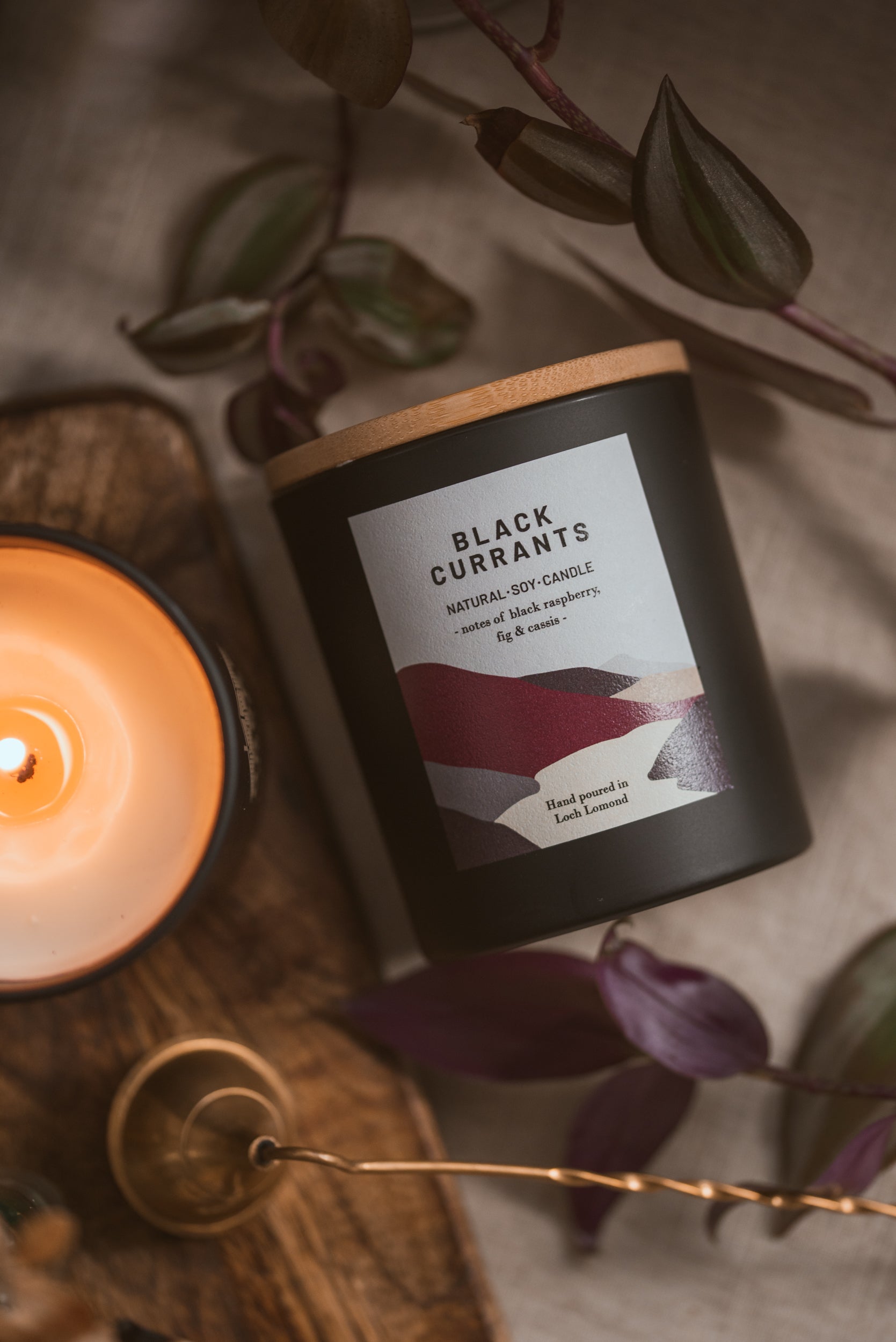 Black Currants - 450g - Organic & Vegan Scented Candles | Ocoee House