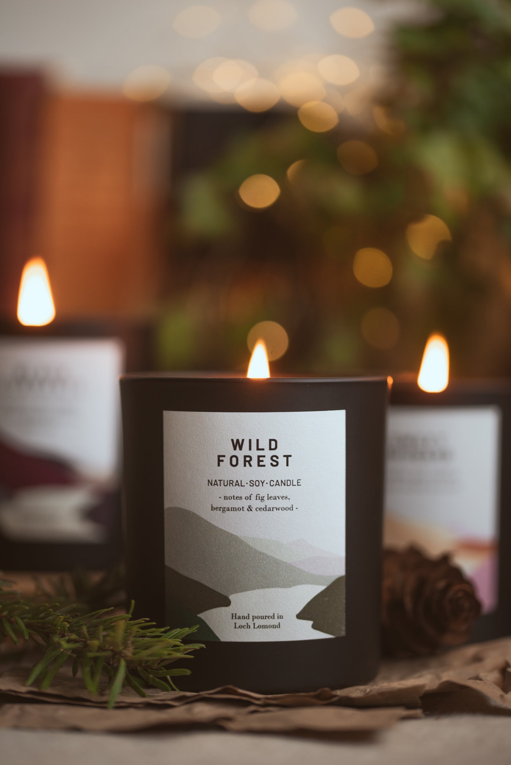 Wild Forest - 450g - Organic & Vegan Scented Candles | Ocoee House
