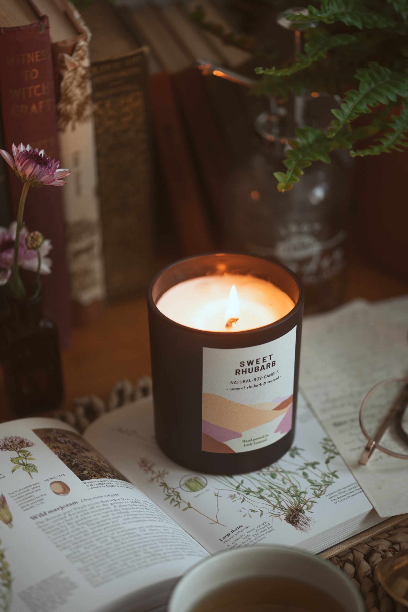Sweet Rhubarb - 450g - Organic & Vegan Scented Candles | Ocoee House