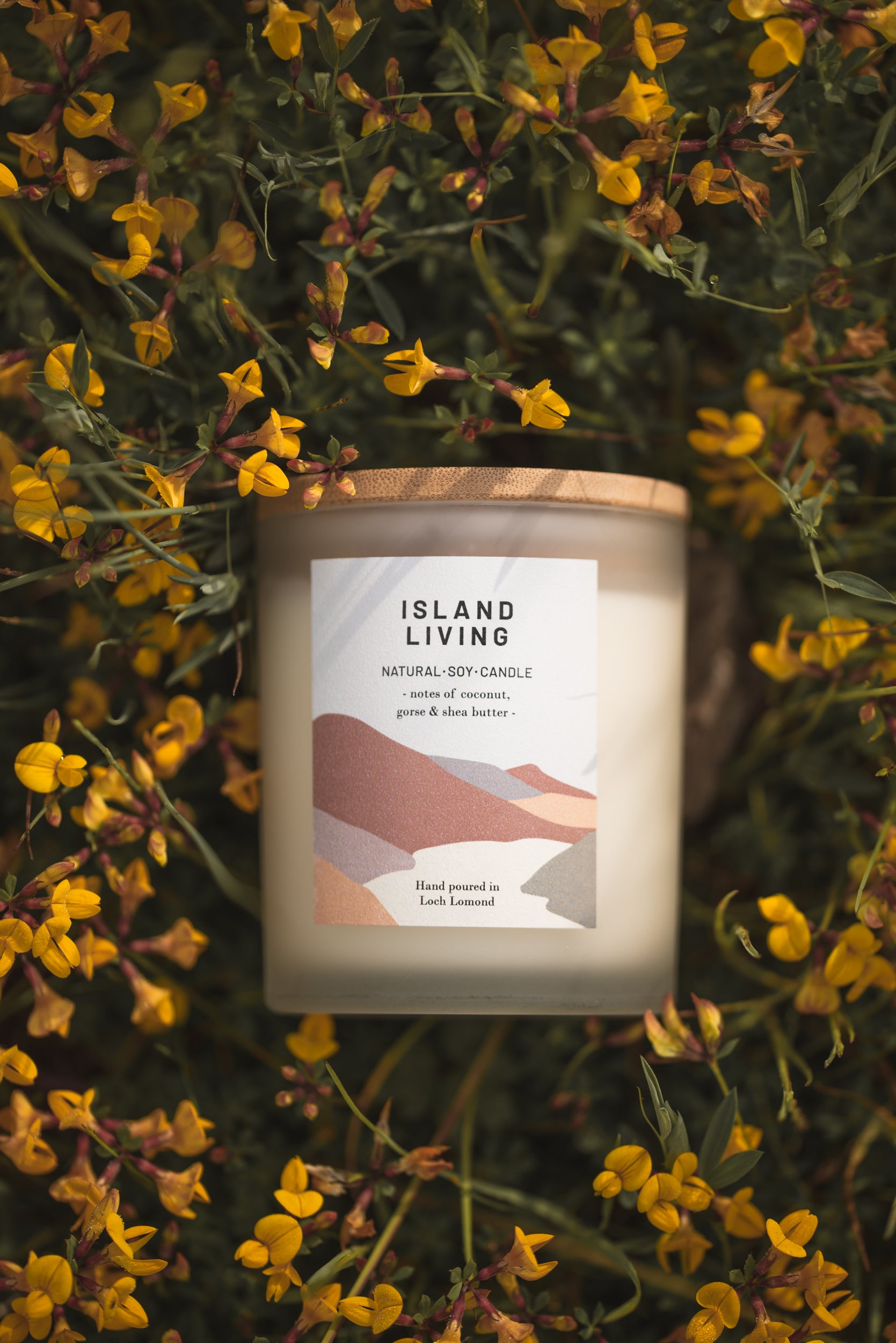 Island Living - 450g - Organic & Vegan Scented Candles | Ocoee House