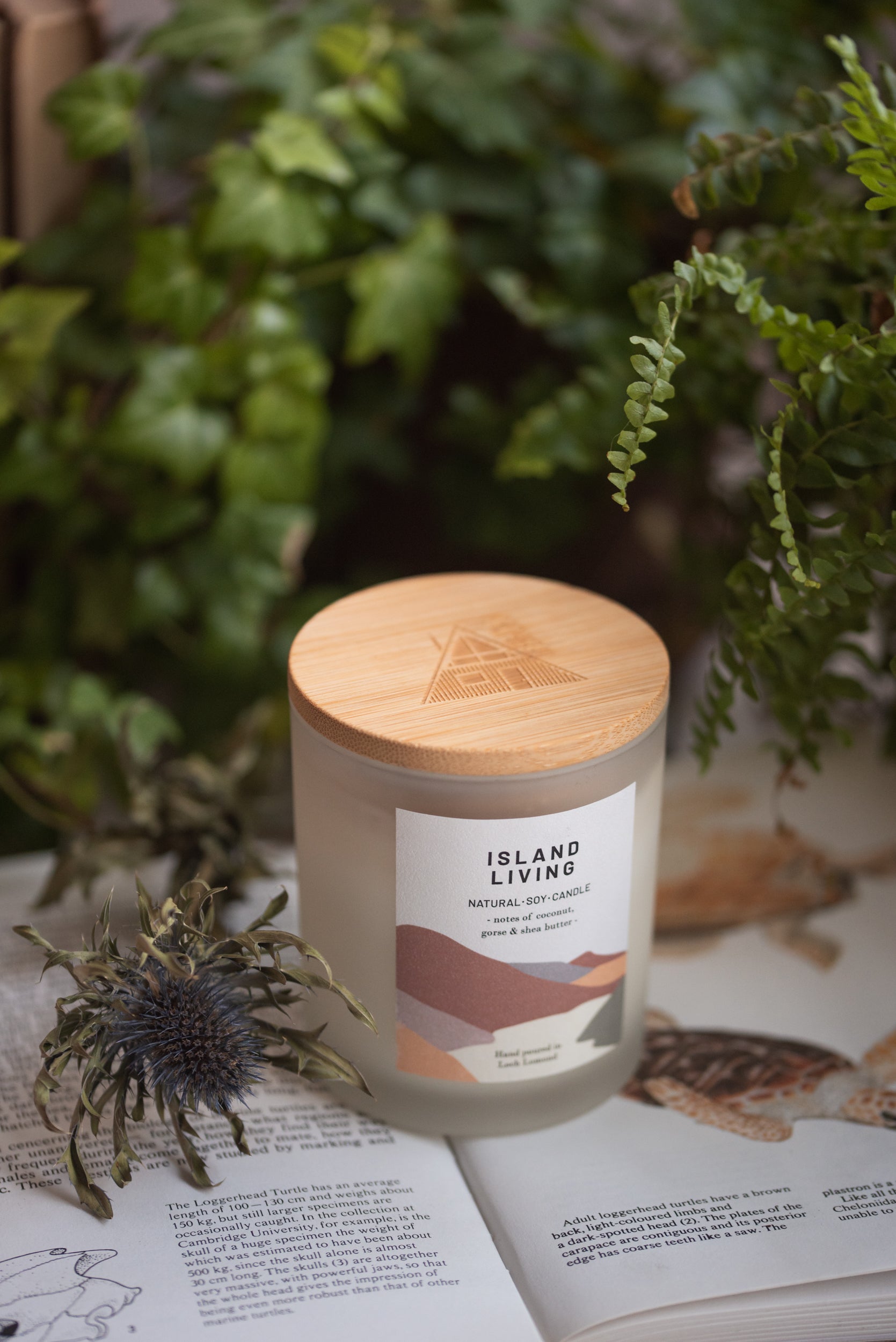Island Living - 450g - Organic & Vegan Scented Candles | Ocoee House