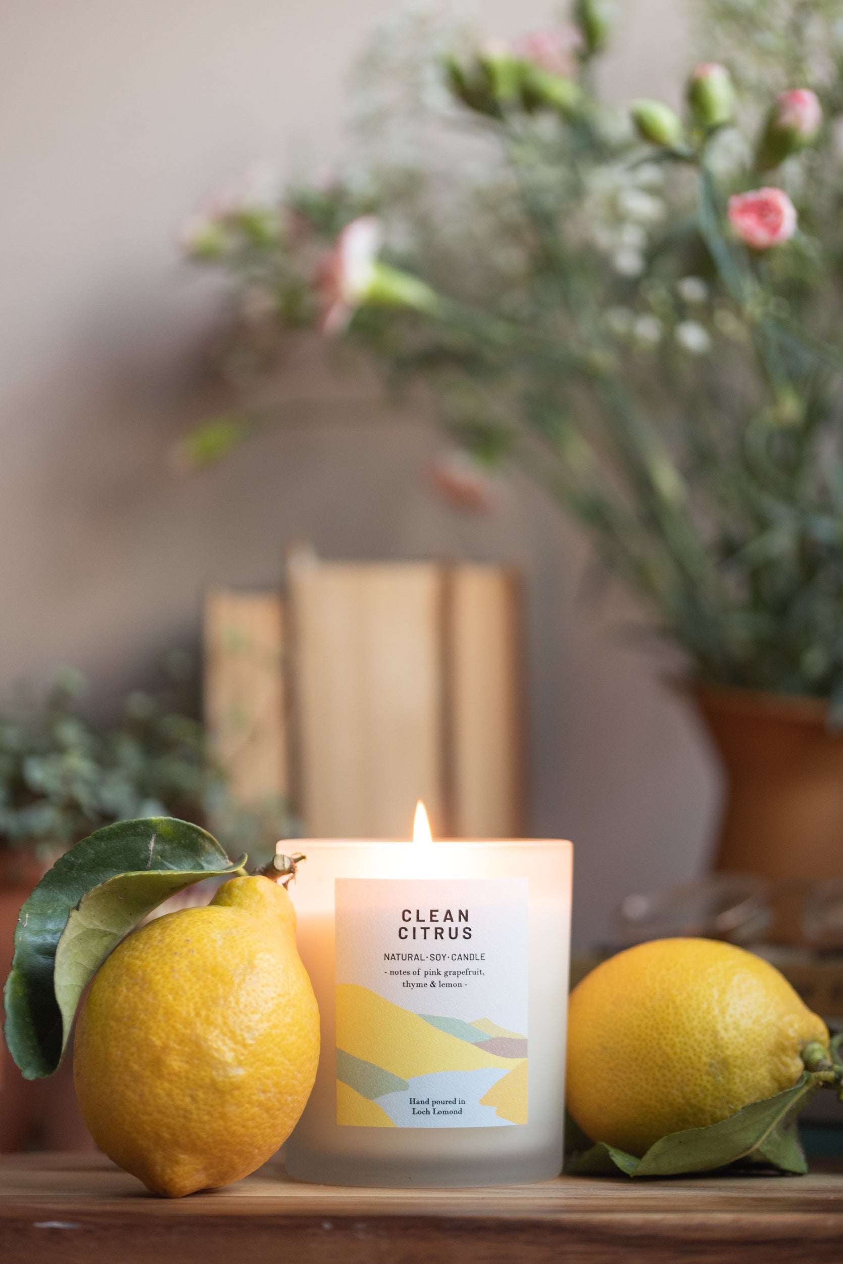 Clean Citrus - 450g - Organic & Vegan Scented Candles | Ocoee House