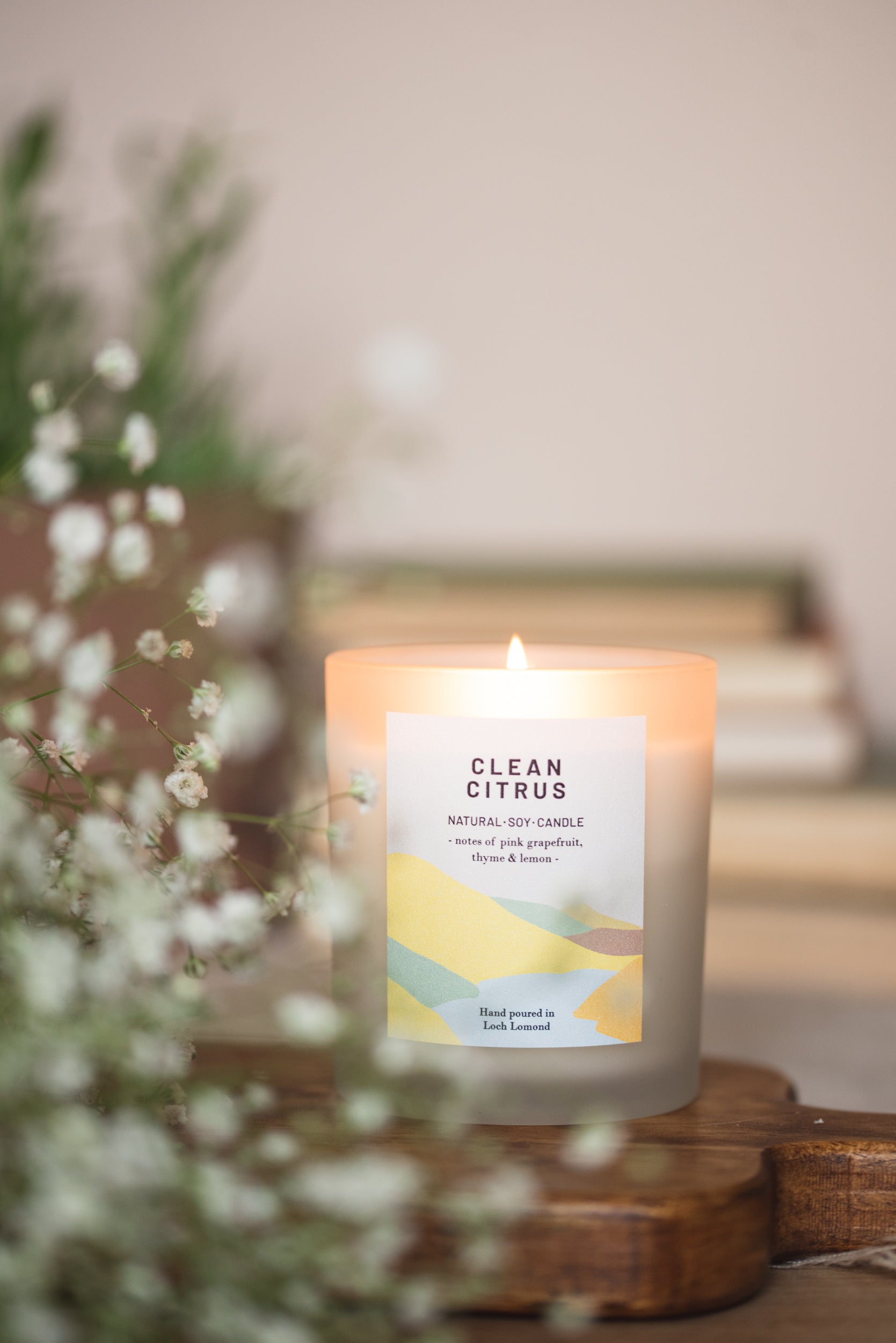 Clean Citrus - 450g - Organic & Vegan Scented Candles | Ocoee House