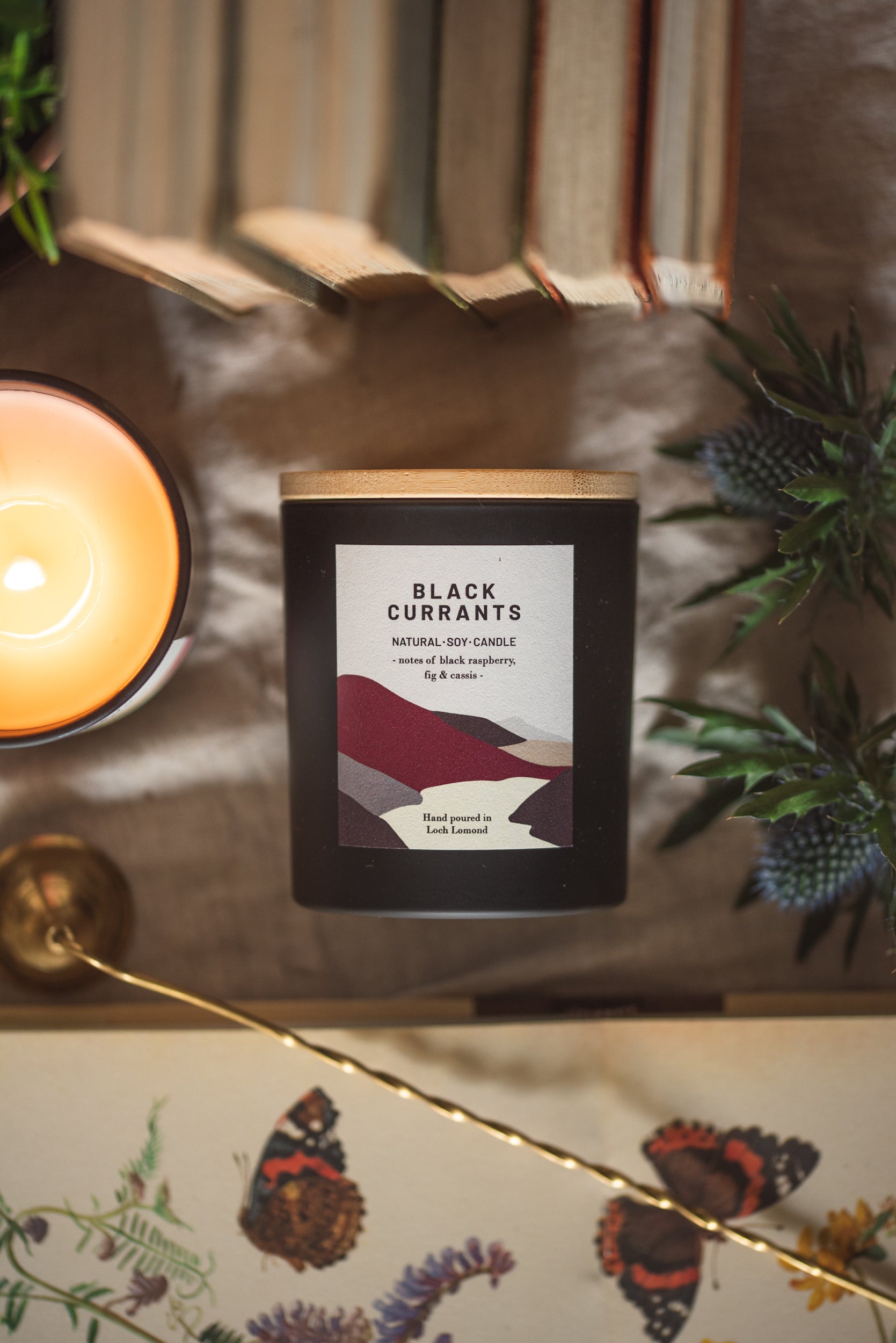 Black Currants - 450g - Organic & Vegan Scented Candles | Ocoee House