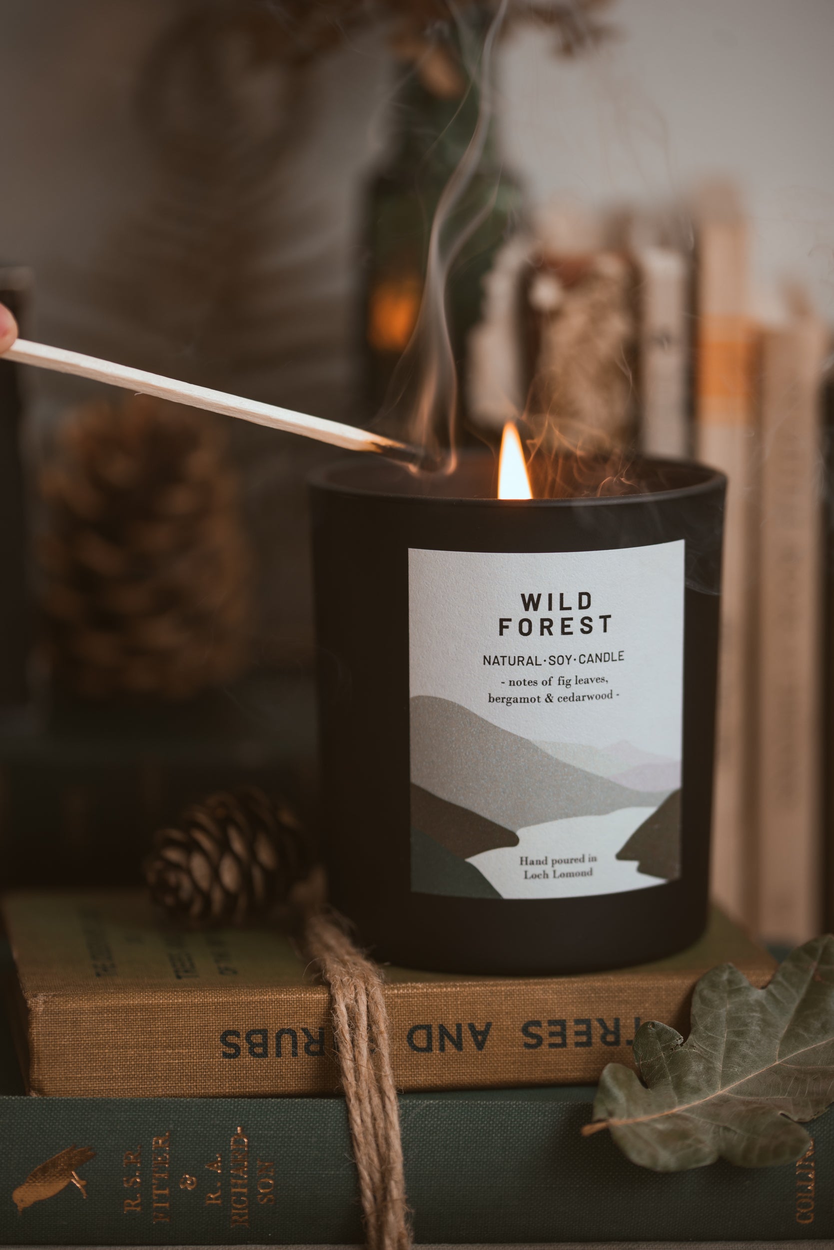 Wild Forest - 450g - Organic & Vegan Scented Candles | Ocoee House