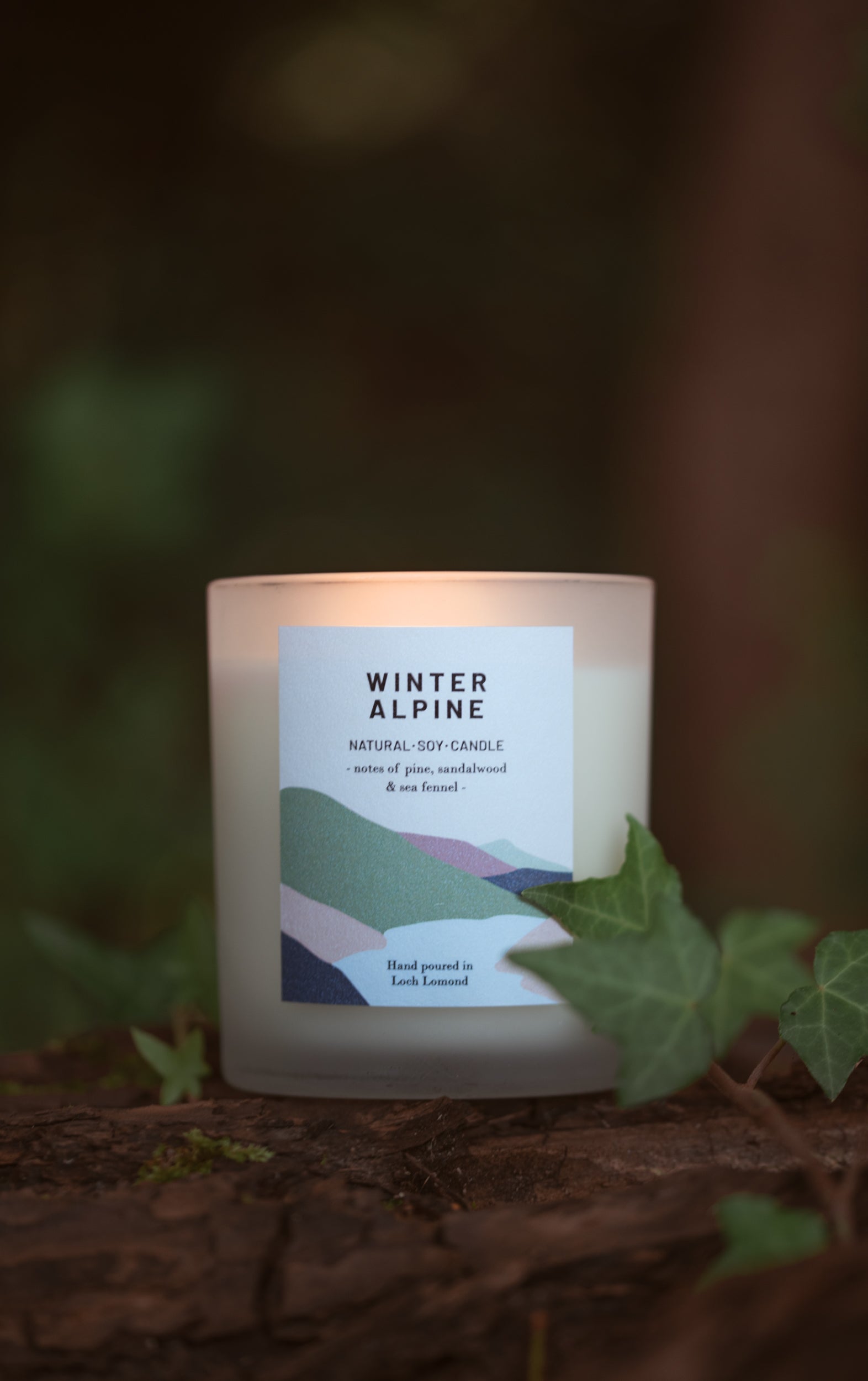 Winter Alpine - 450g - Organic & Vegan Scented Candles | Ocoee House