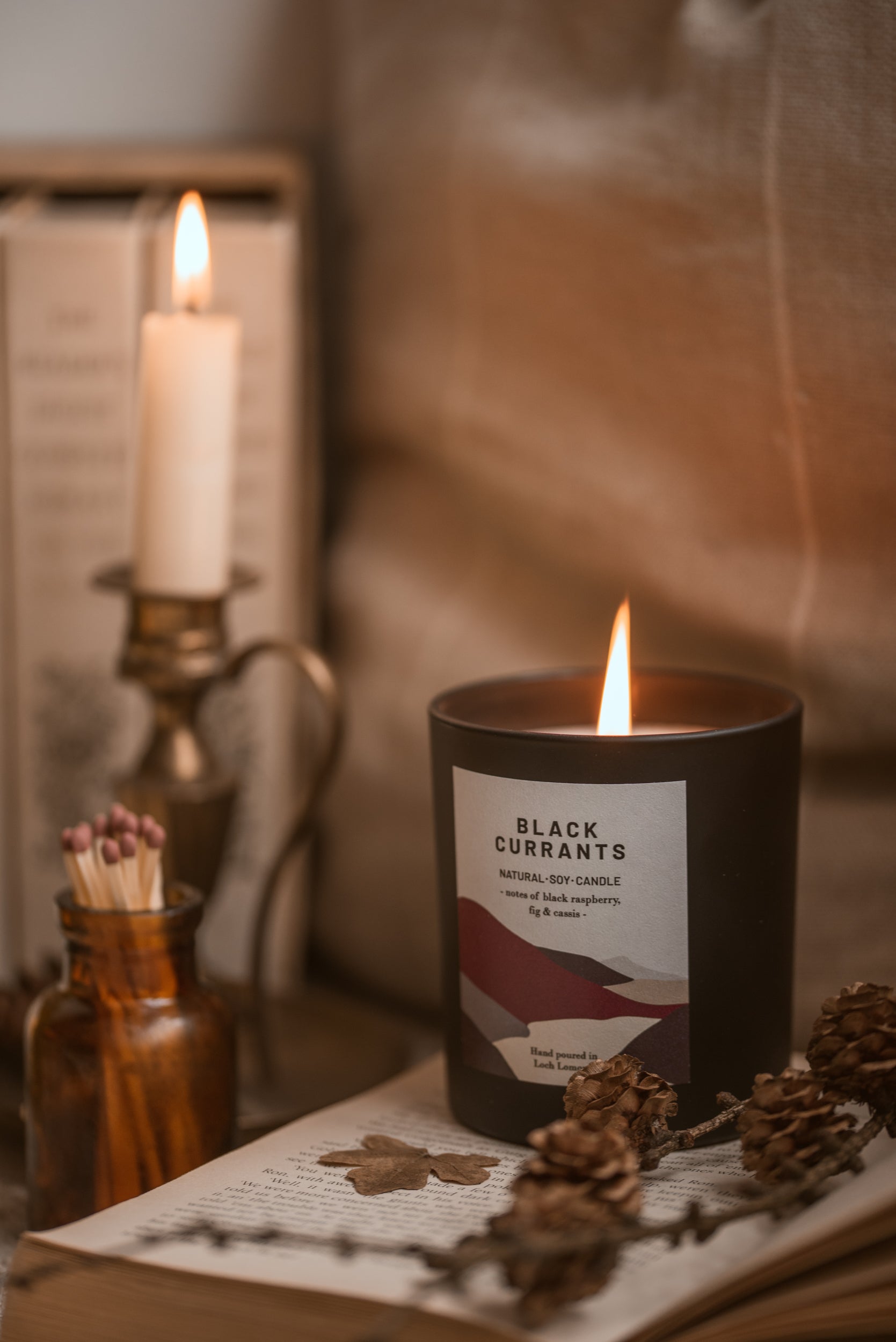 Black Currants - 450g - Organic & Vegan Scented Candles | Ocoee House
