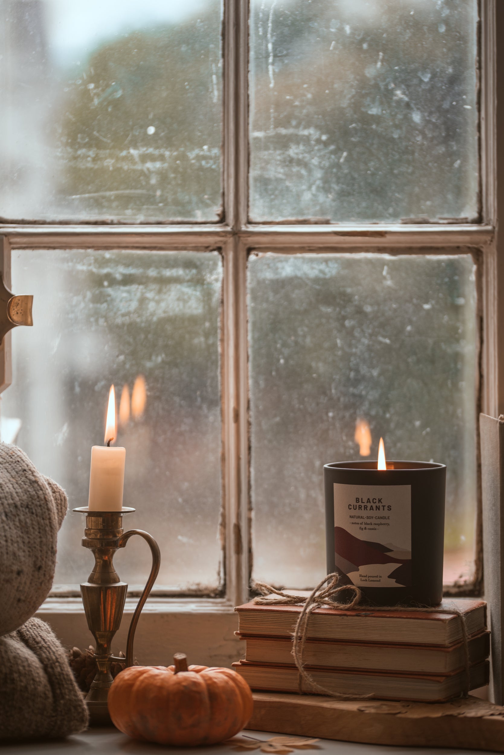 Black Currants - 450g - Organic & Vegan Scented Candles | Ocoee House