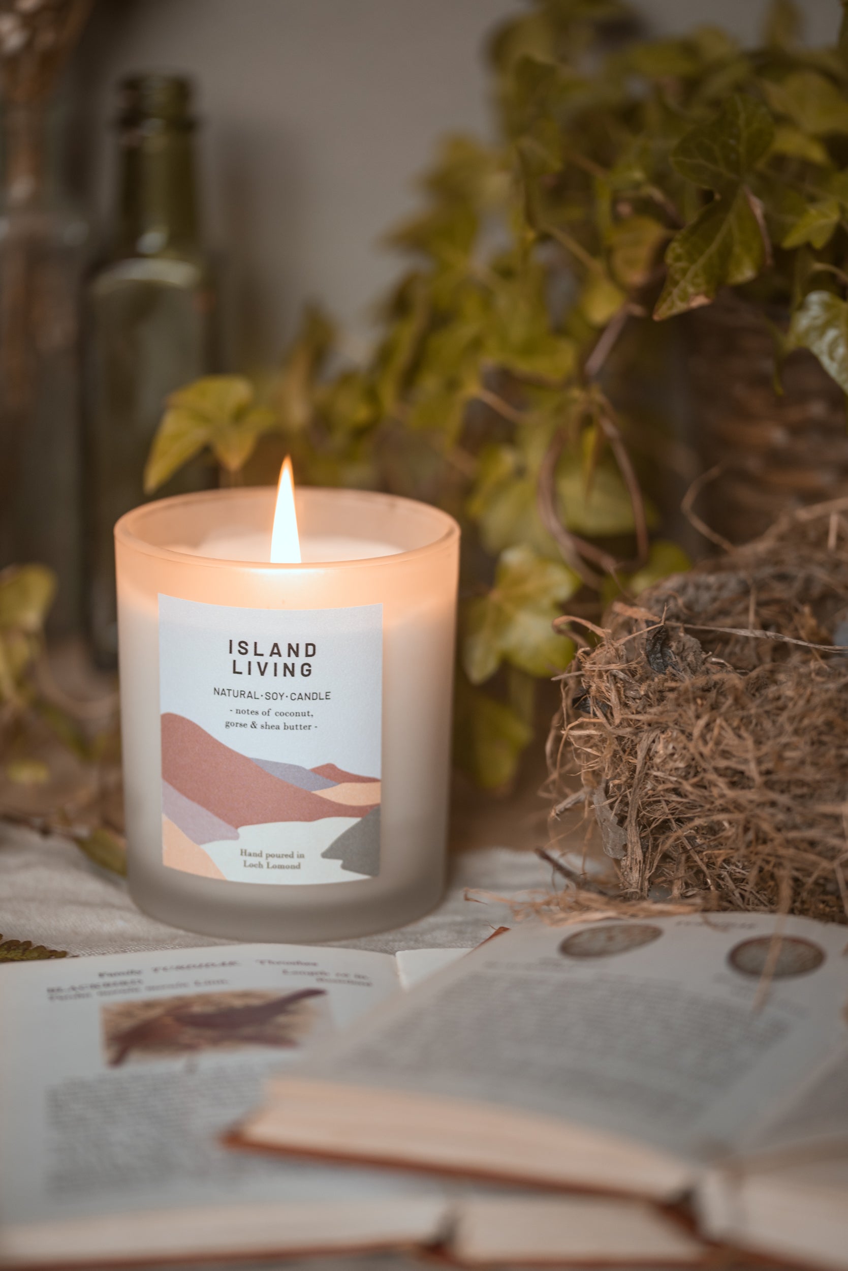 Island Living - 450g - Organic & Vegan Scented Candles | Ocoee House