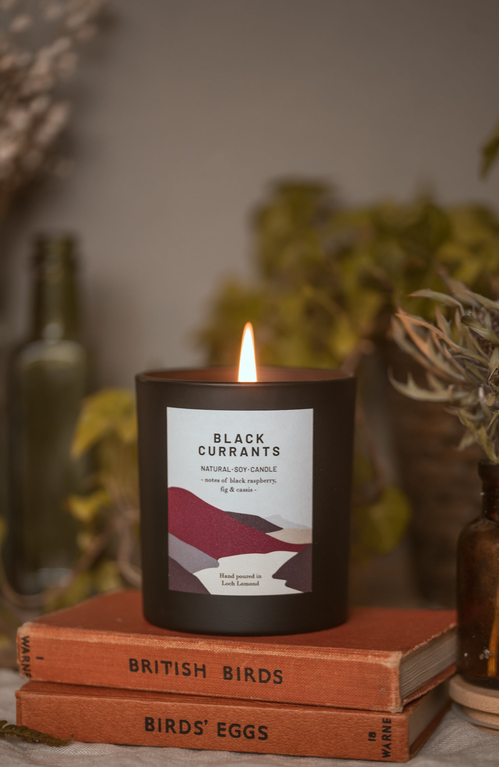 Black Currants - 450g - Organic & Vegan Scented Candles | Ocoee House