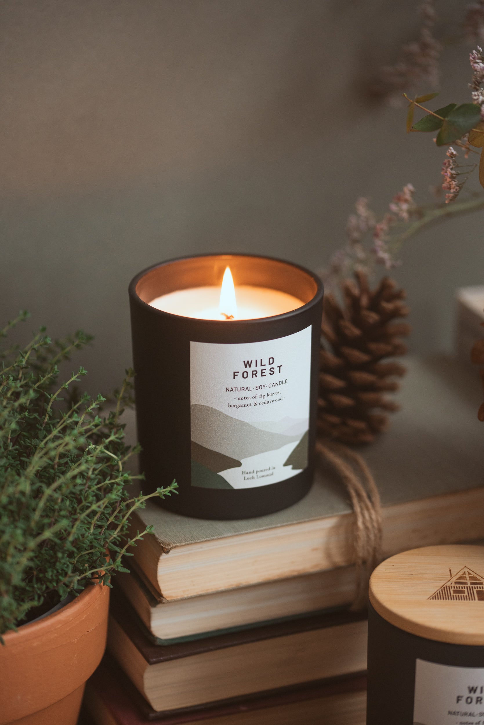 Wild Forest - 450g - Organic & Vegan Scented Candles | Ocoee House