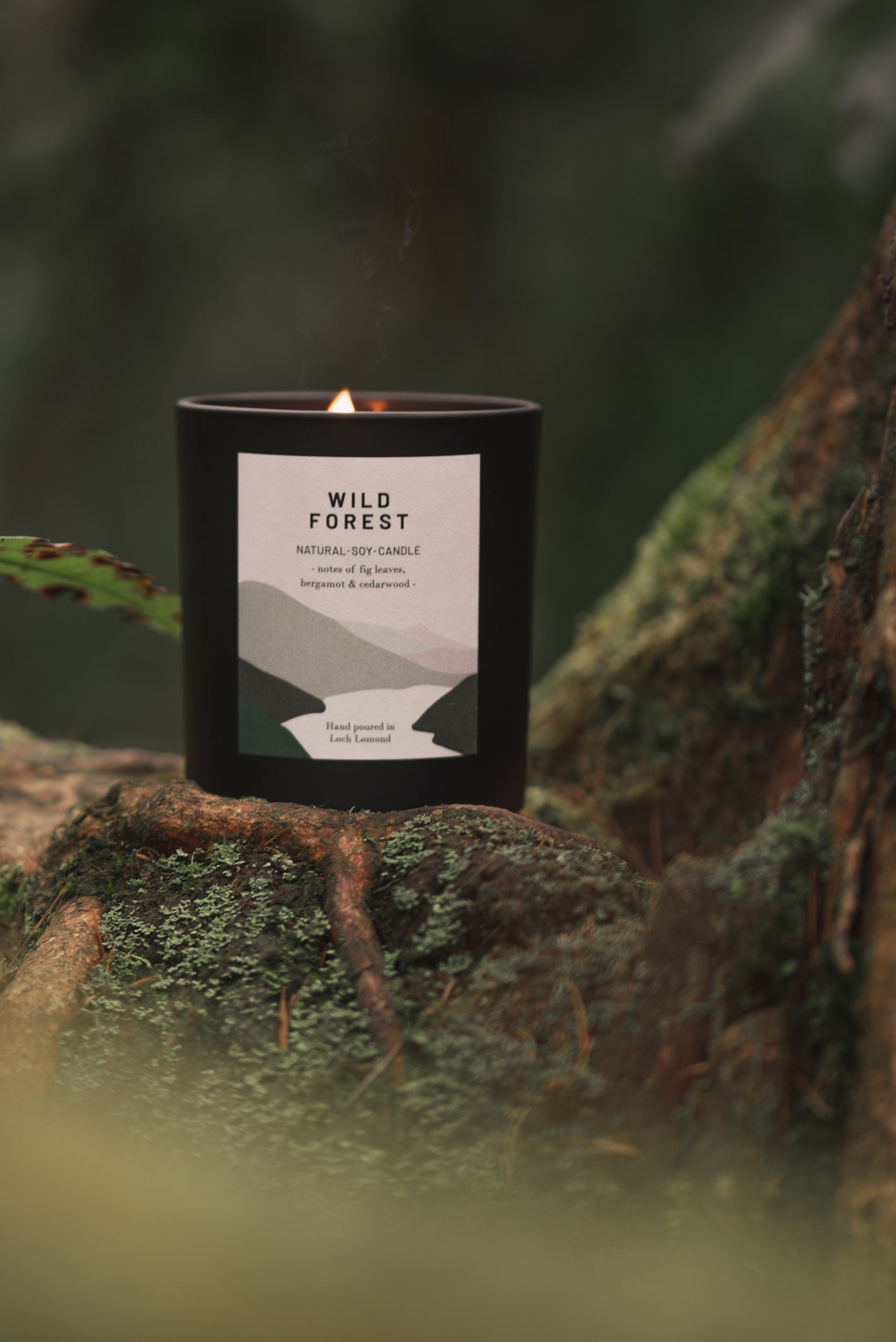 Wild Forest - 450g - Organic & Vegan Scented Candles | Ocoee House