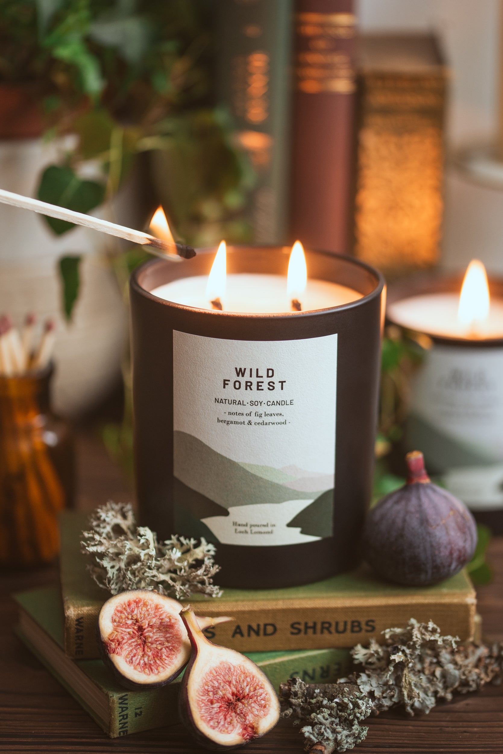 Wild Forest - 760g - Organic & Vegan Scented Candles | Ocoee House