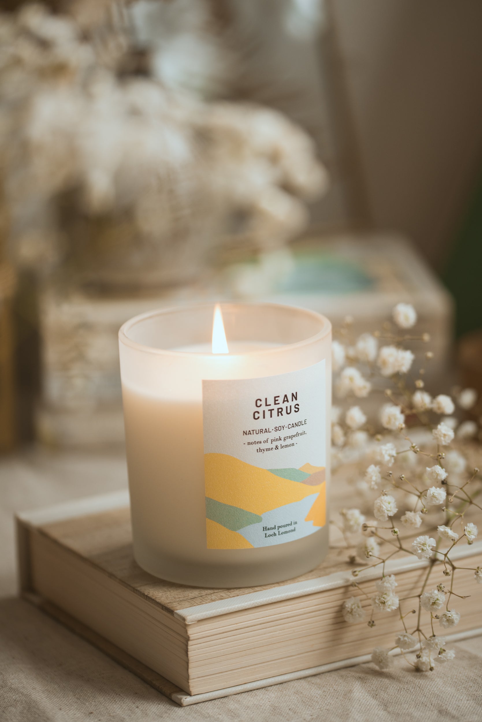 Clean Citrus - 450g - Organic & Vegan Scented Candles | Ocoee House