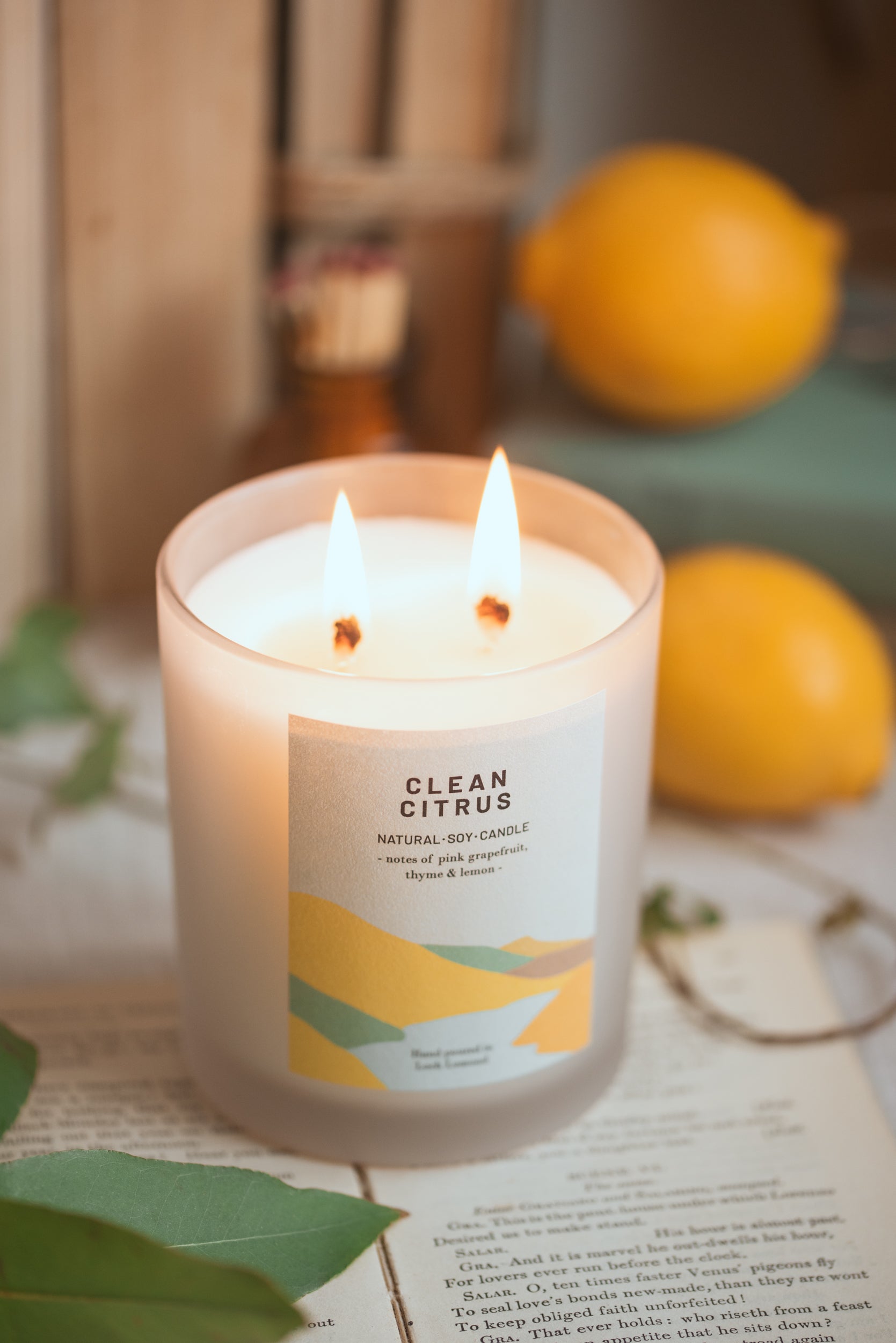 Clean Citrus - 760g - Organic & Vegan Scented Candles | Ocoee House