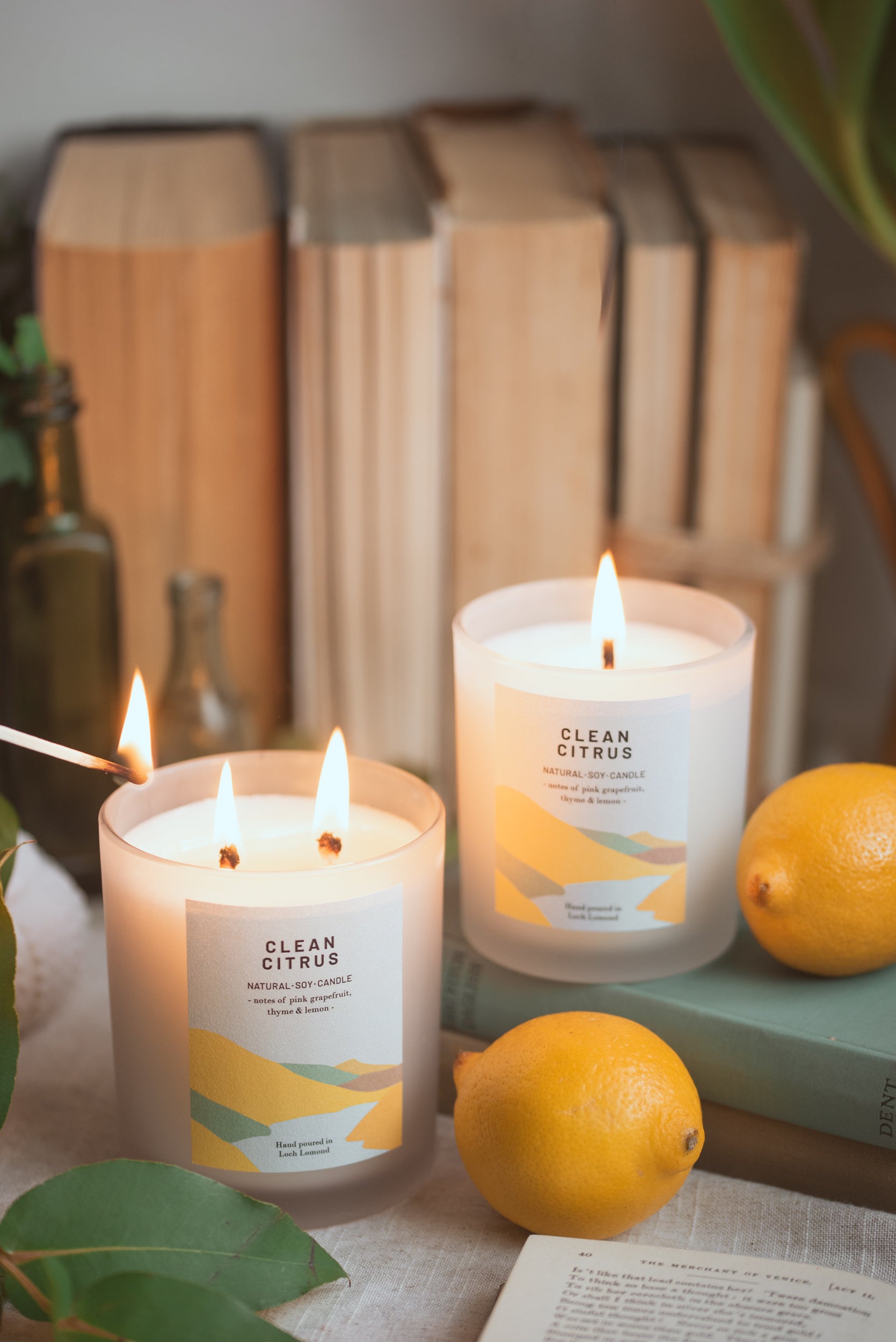 Clean Citrus - 760g - Organic & Vegan Scented Candles | Ocoee House