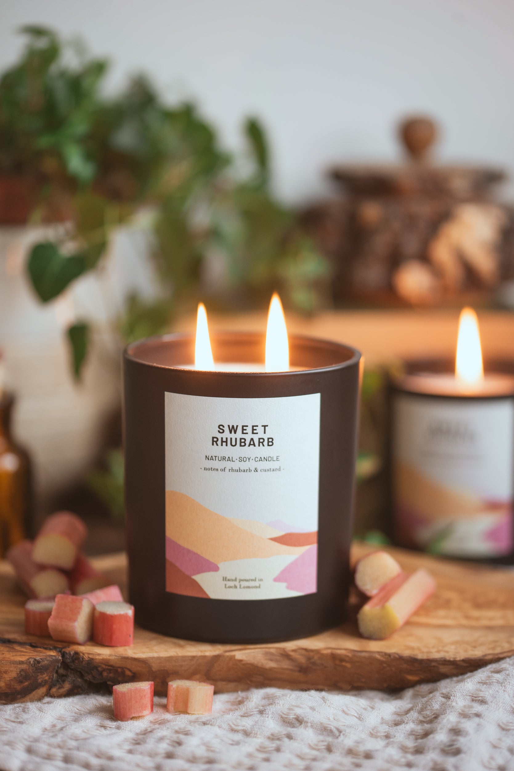 Sweet Rhubarb - 760g - Organic & Vegan Scented Candles | Ocoee House