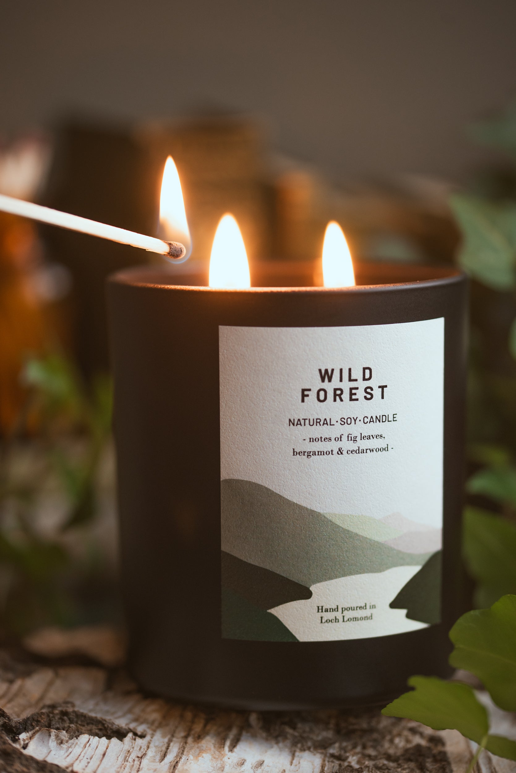 Wild Forest - 760g - Organic & Vegan Scented Candles | Ocoee House