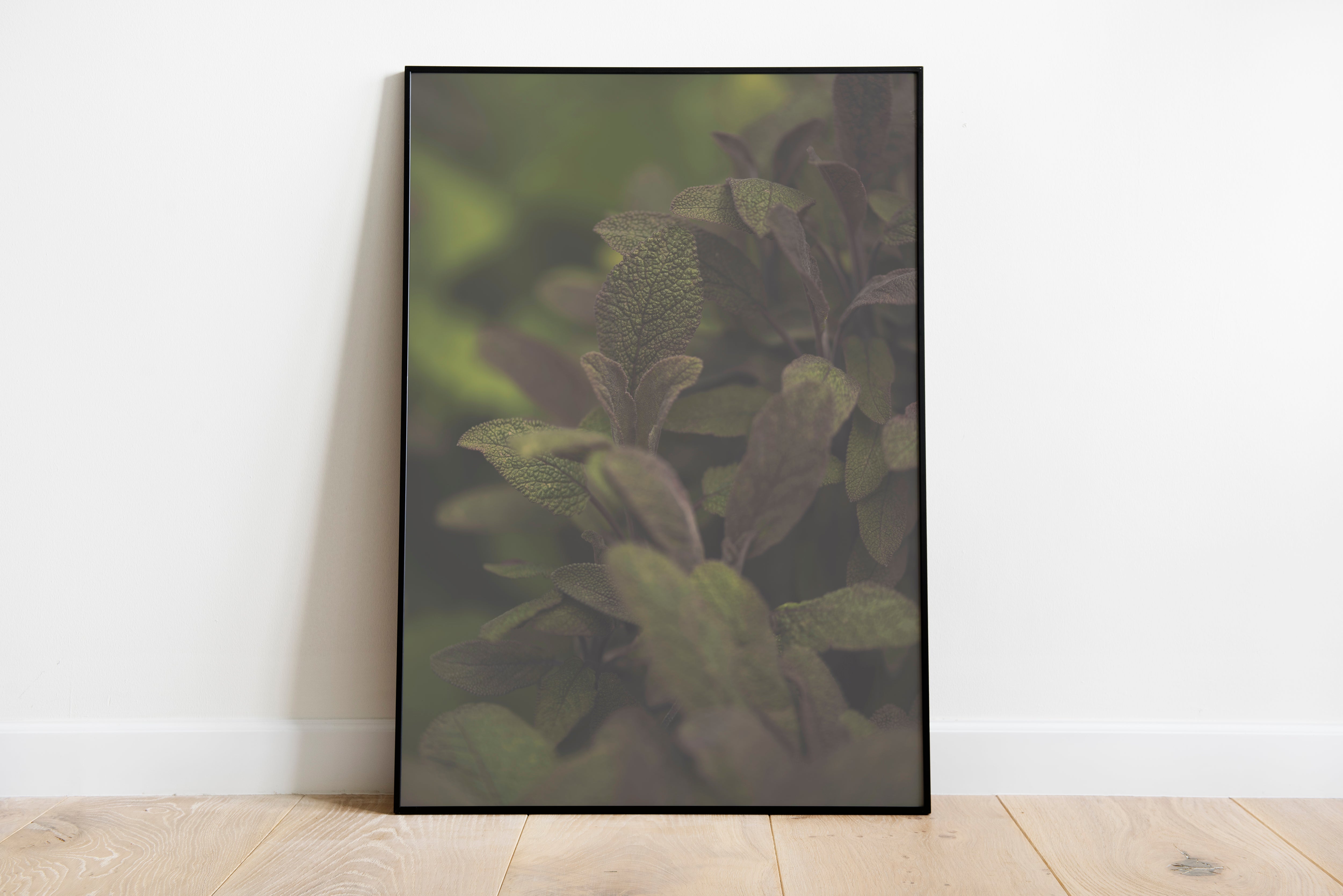 Sage - Print Store | Ocoee House