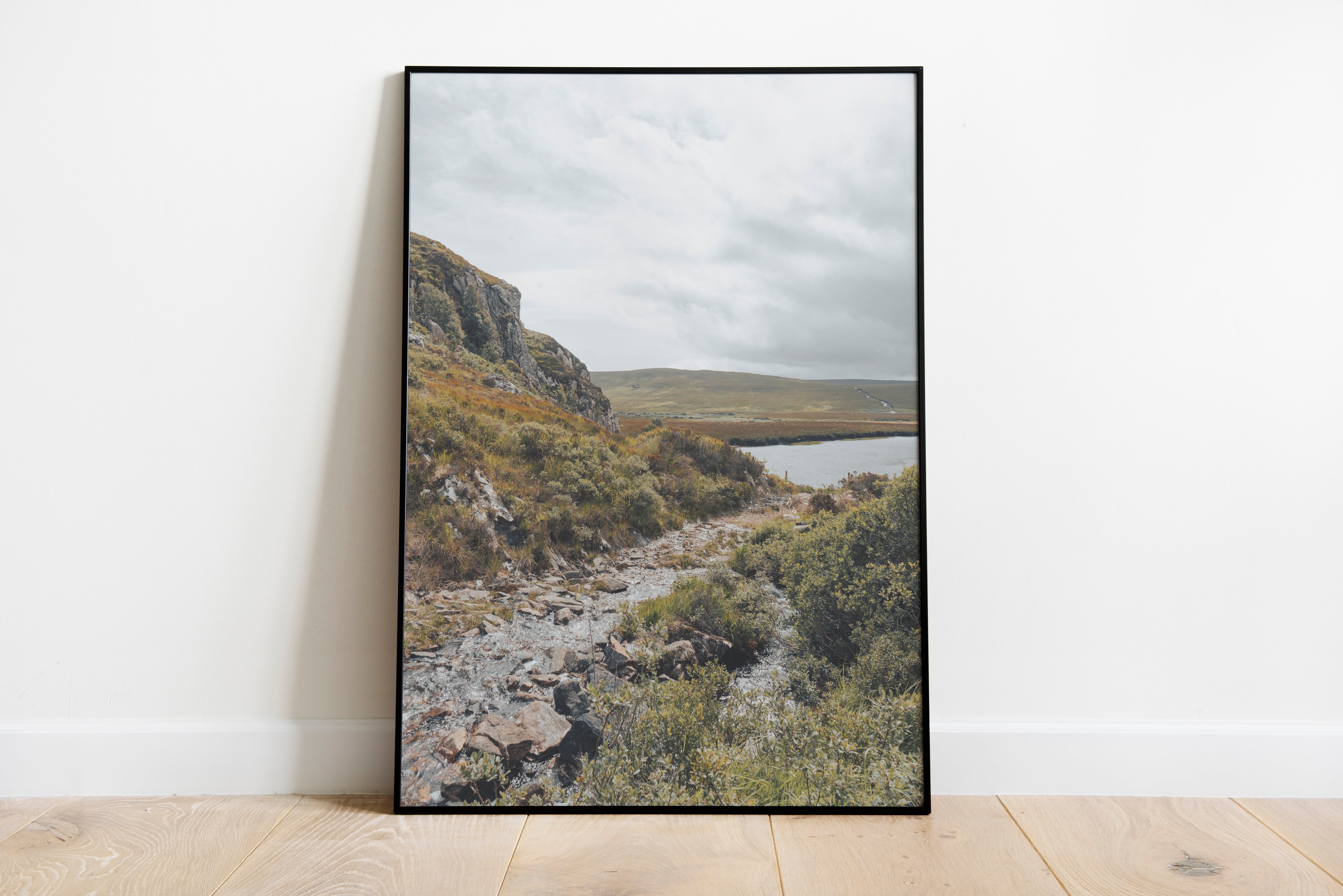Vibrance - Print Store | Ocoee House