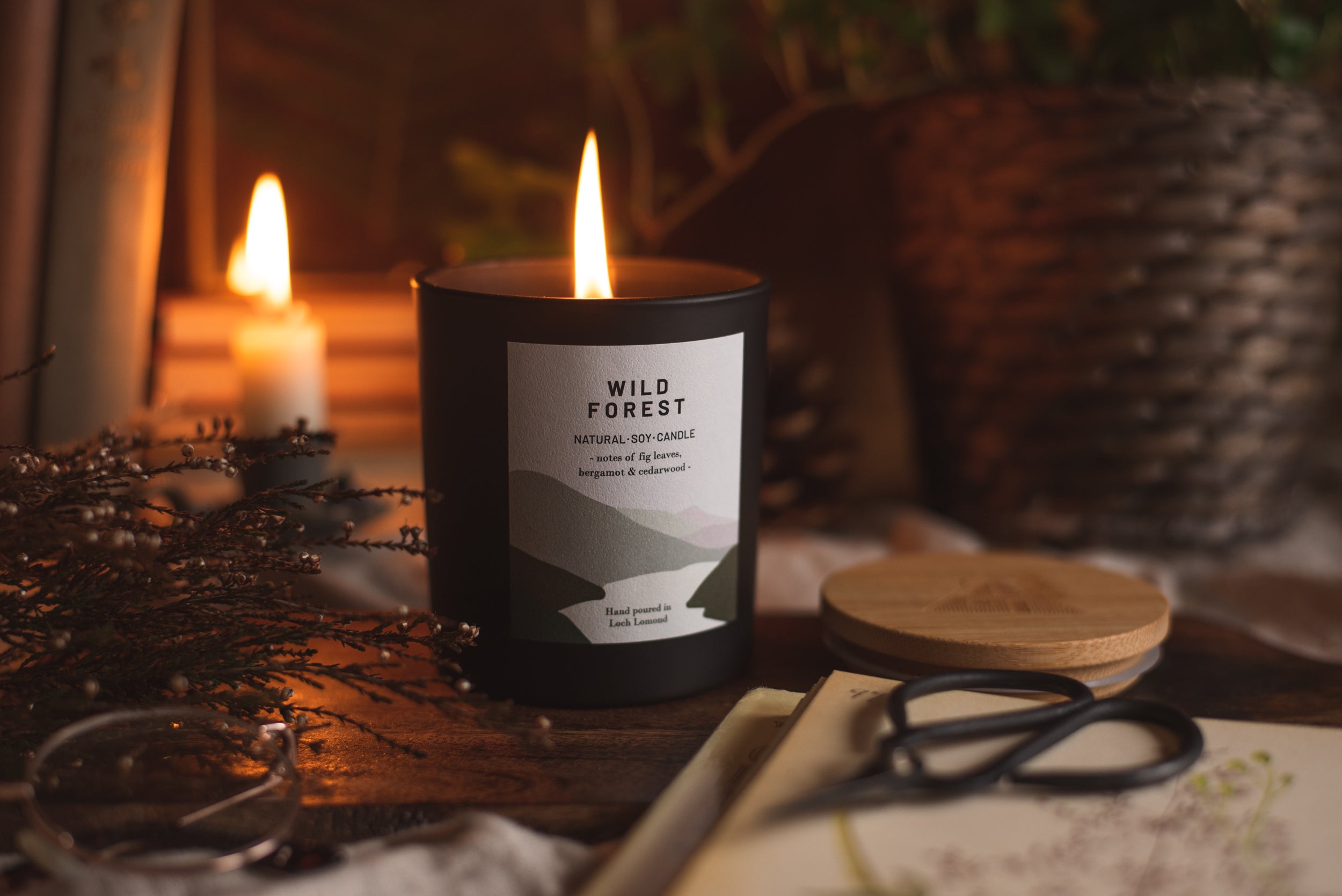 Wild Forest - 450g - Organic & Vegan Scented Candles | Ocoee House