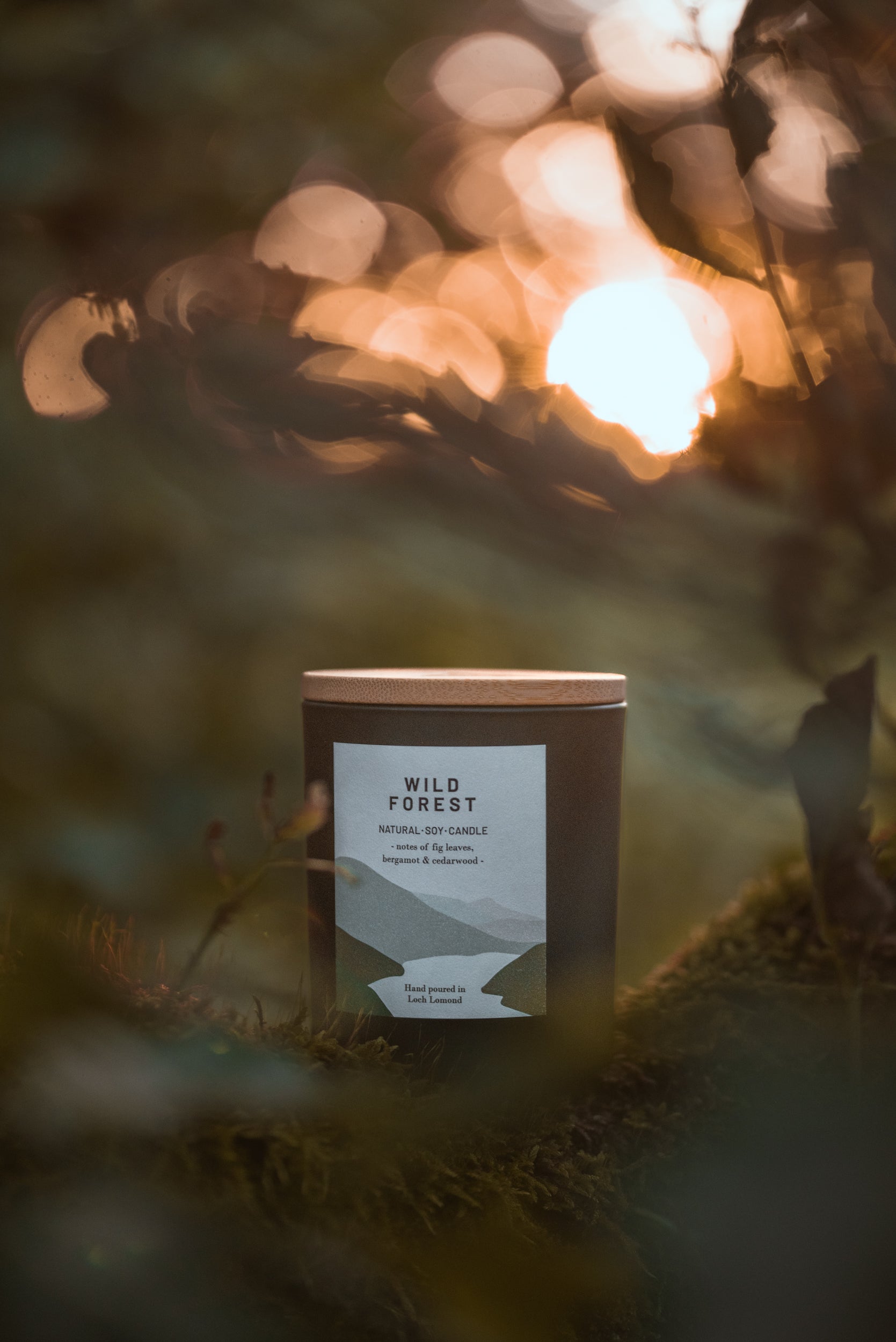 Wild Forest - 450g - Organic & Vegan Scented Candles | Ocoee House