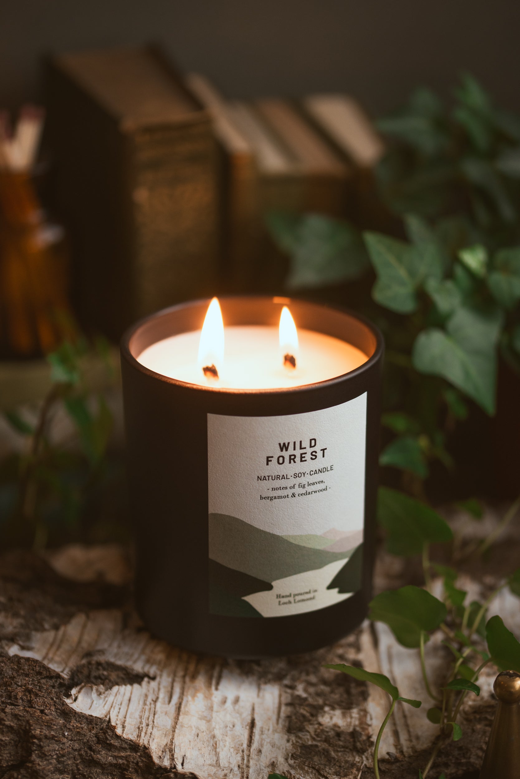 Wild Forest - 760g - Organic & Vegan Scented Candles | Ocoee House