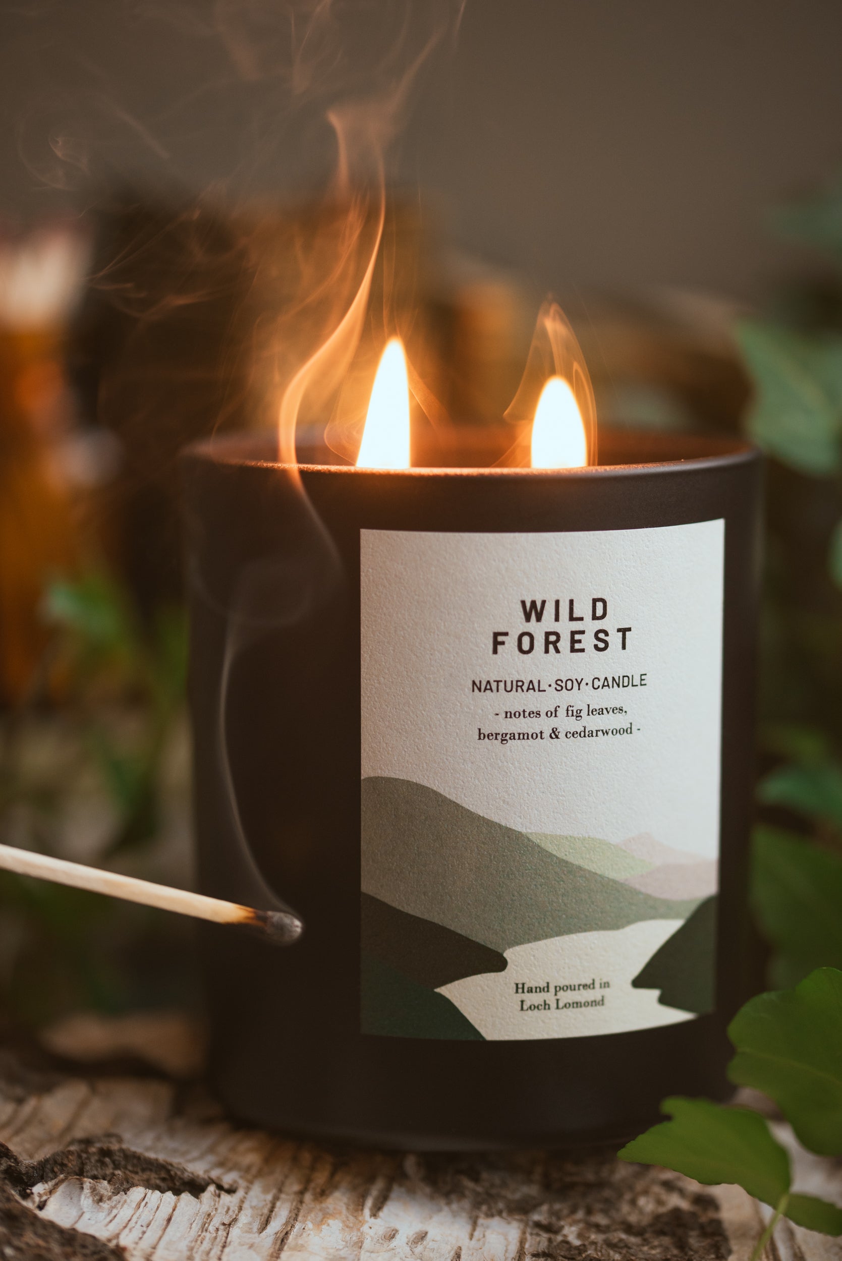 Wild Forest - 760g - Organic & Vegan Scented Candles | Ocoee House