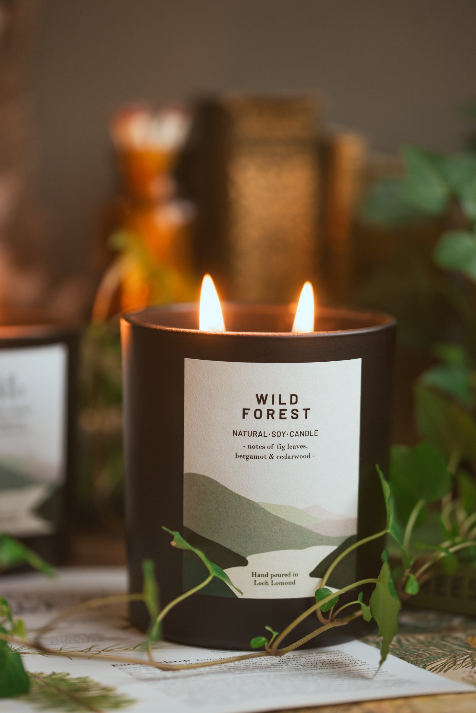 Wild Forest - 760g - Organic & Vegan Scented Candles | Ocoee House