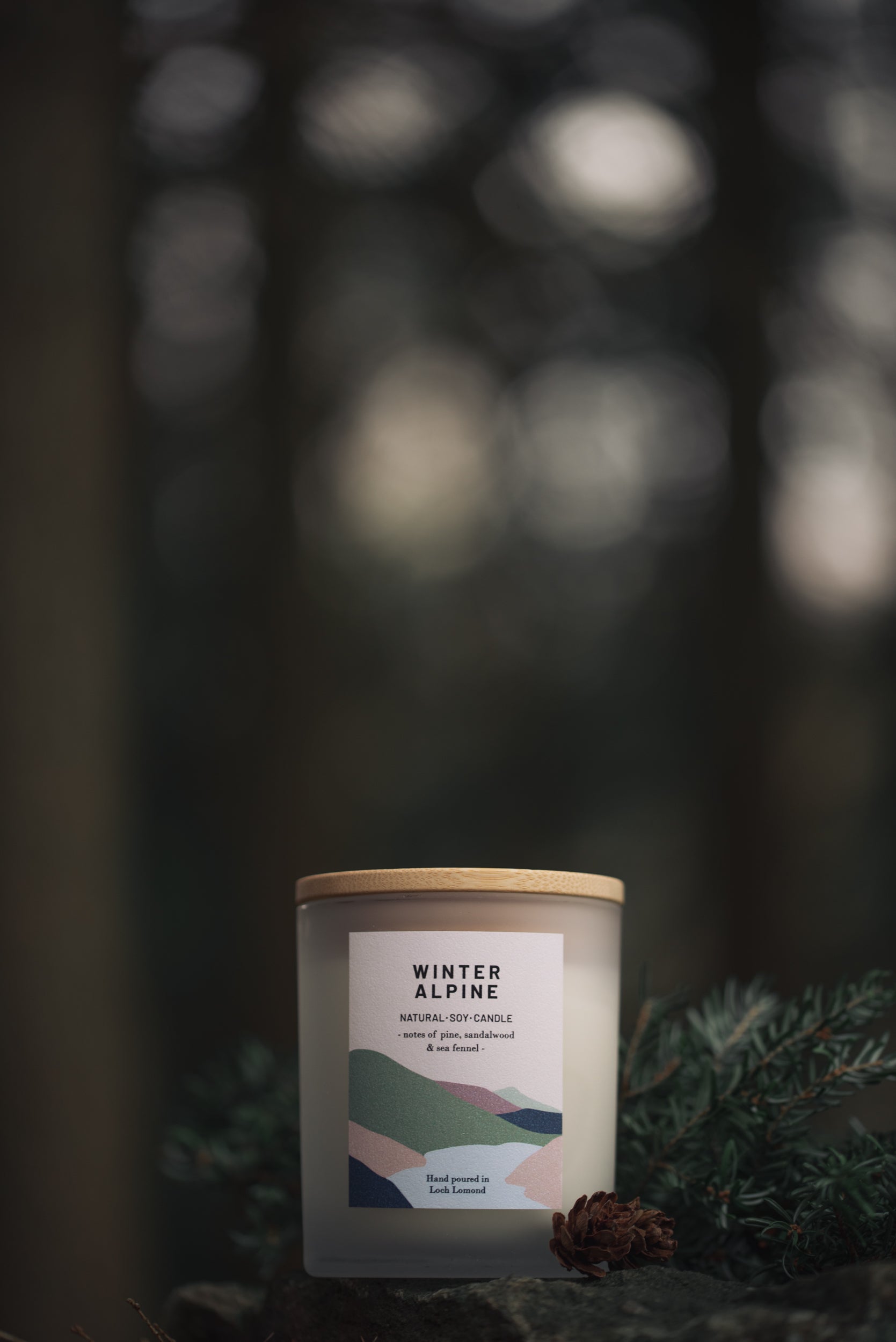 Winter Alpine - 450g - Organic & Vegan Scented Candles | Ocoee House