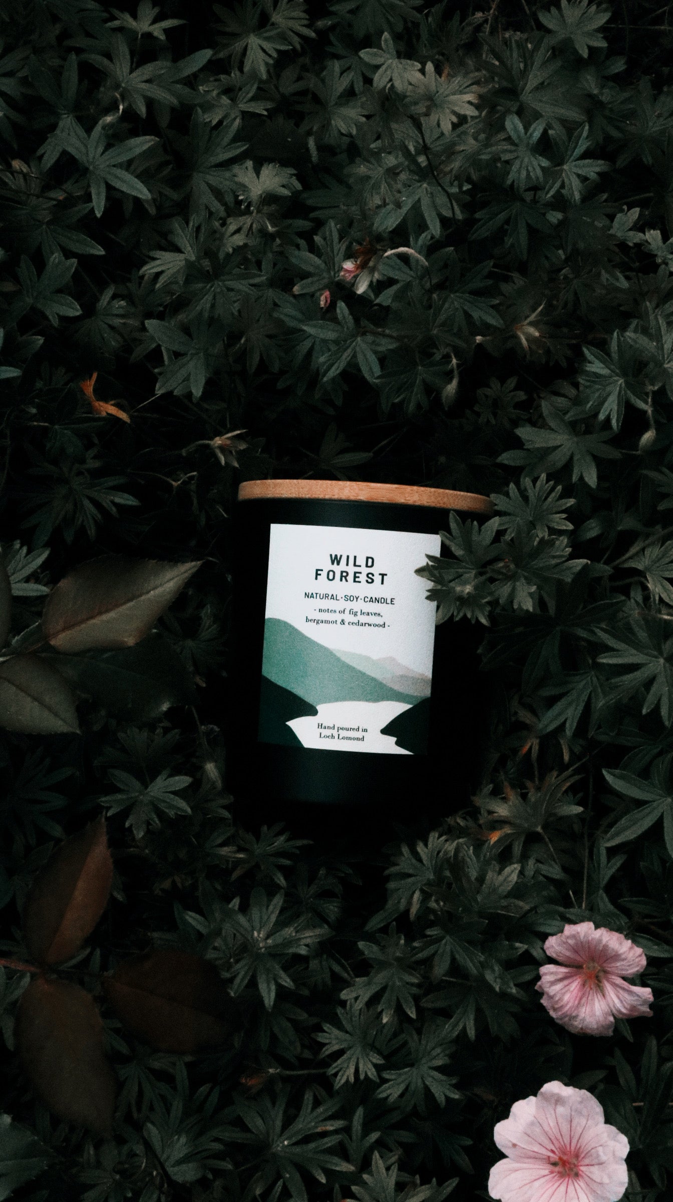 Wild Forest - 450g - Organic & Vegan Scented Candles | Ocoee House