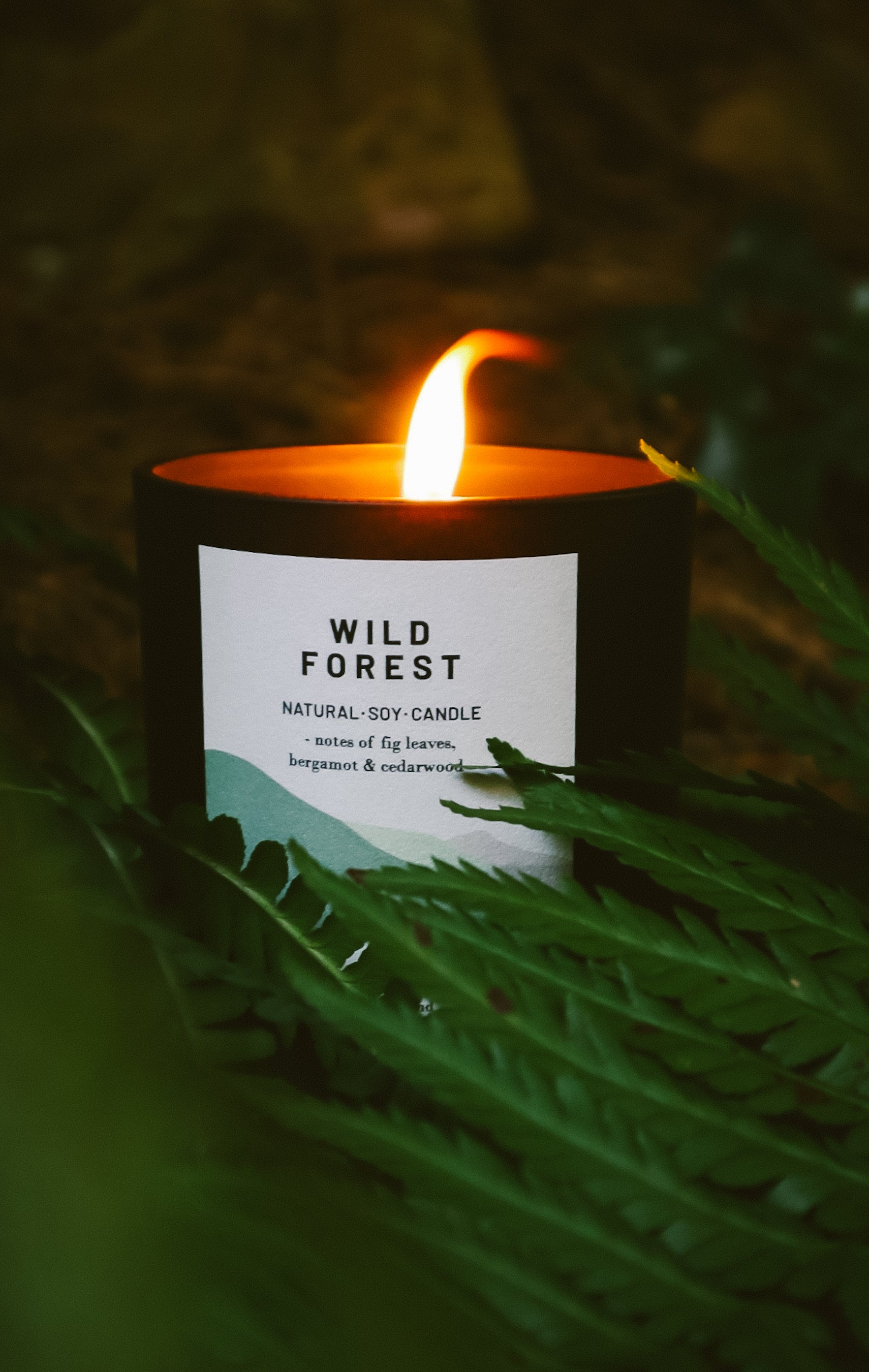 Wild Forest - Organic & Vegan Scented Candles | Ocoee House