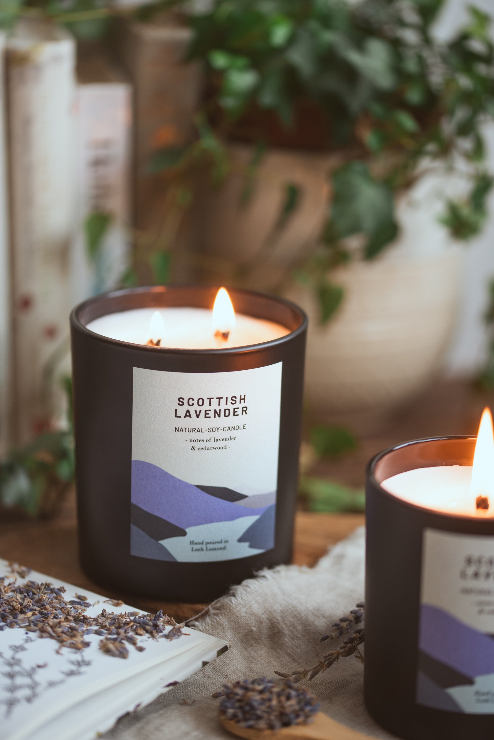 Scottish Lavender - 760g - Organic & Vegan Scented Candles | Ocoee House