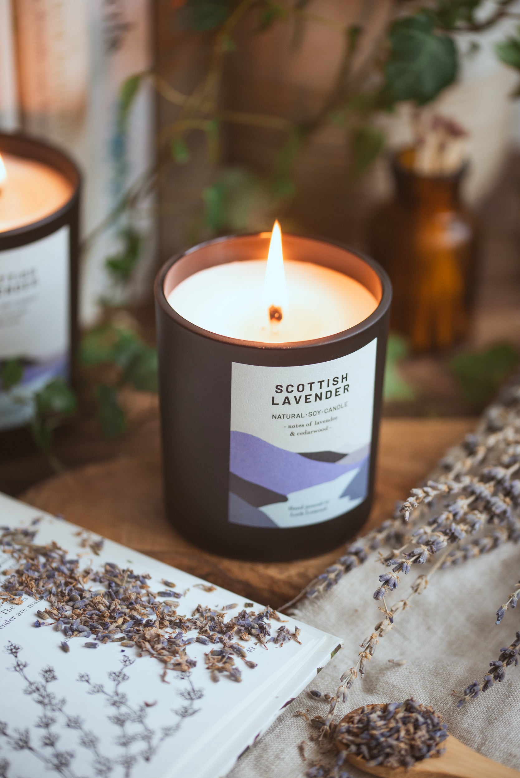 Scottish Lavender - 450g - Organic & Vegan Scented Candles | Ocoee House