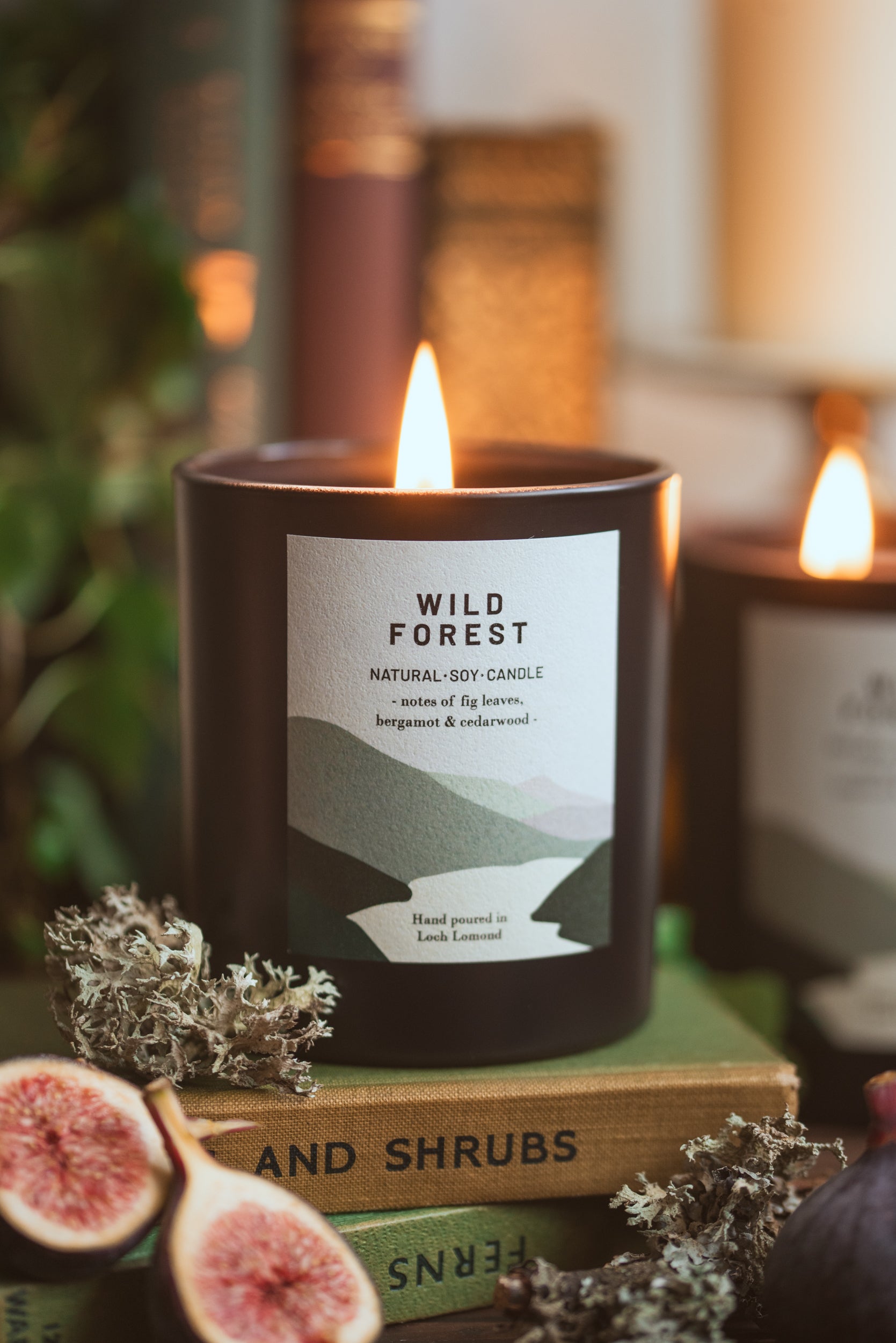 Wild Forest - 450g - Organic & Vegan Scented Candles | Ocoee House