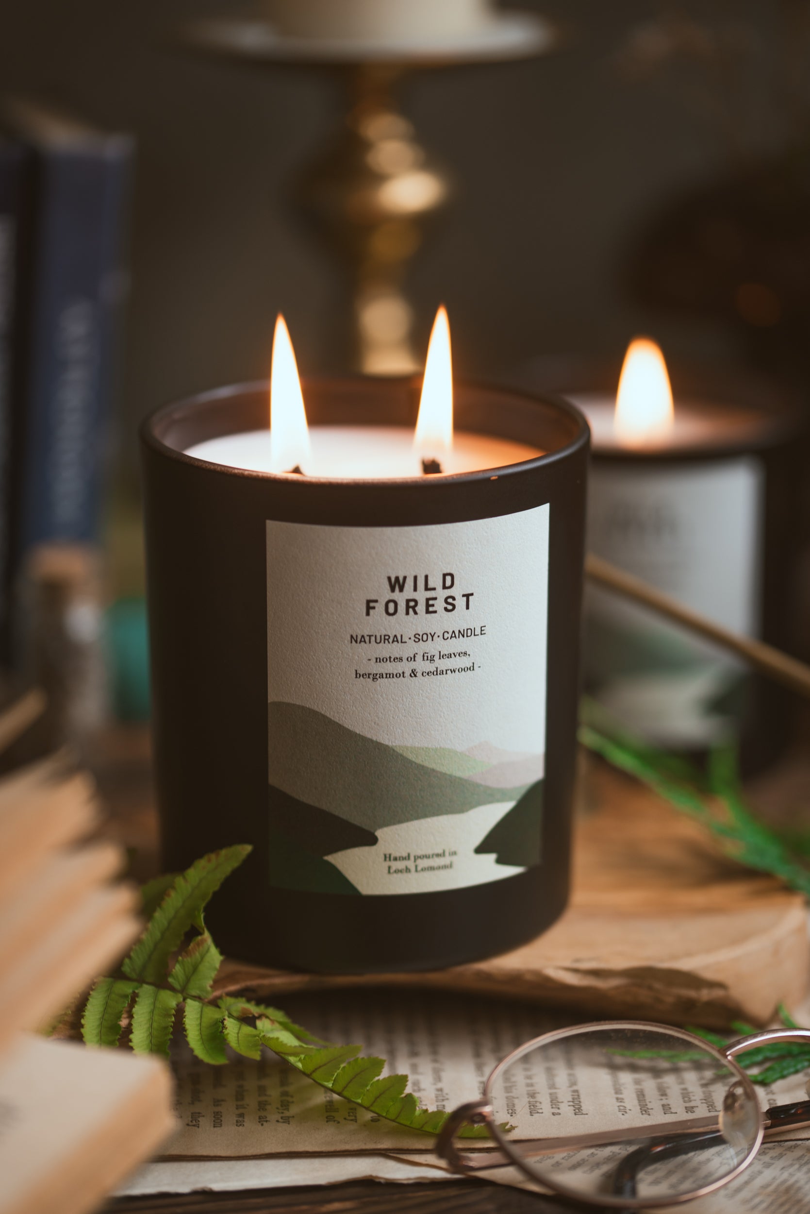 Wild Forest - 760g - Organic & Vegan Scented Candles | Ocoee House