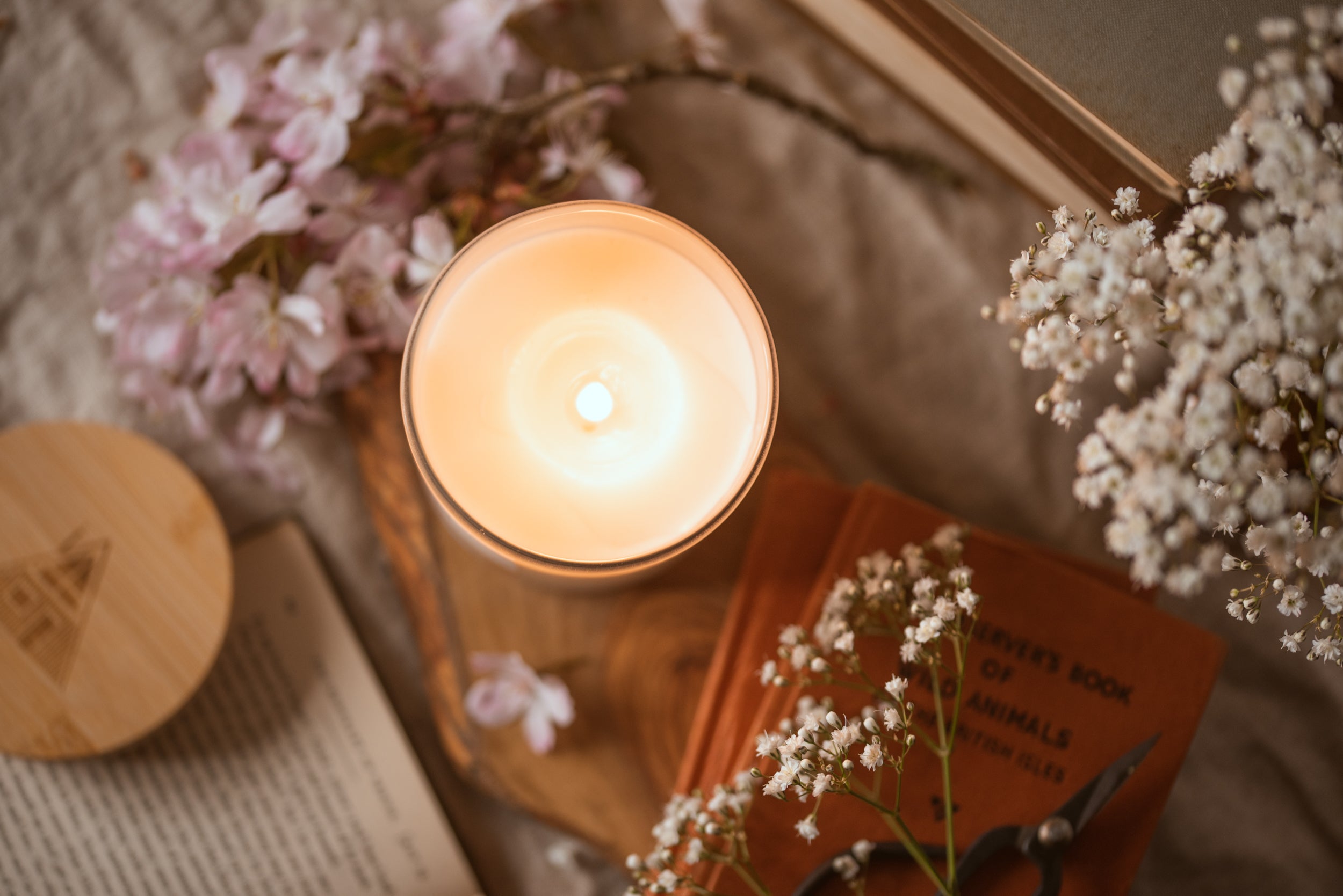 Summer Holiday - Organic & Vegan Scented Candles | Ocoee House